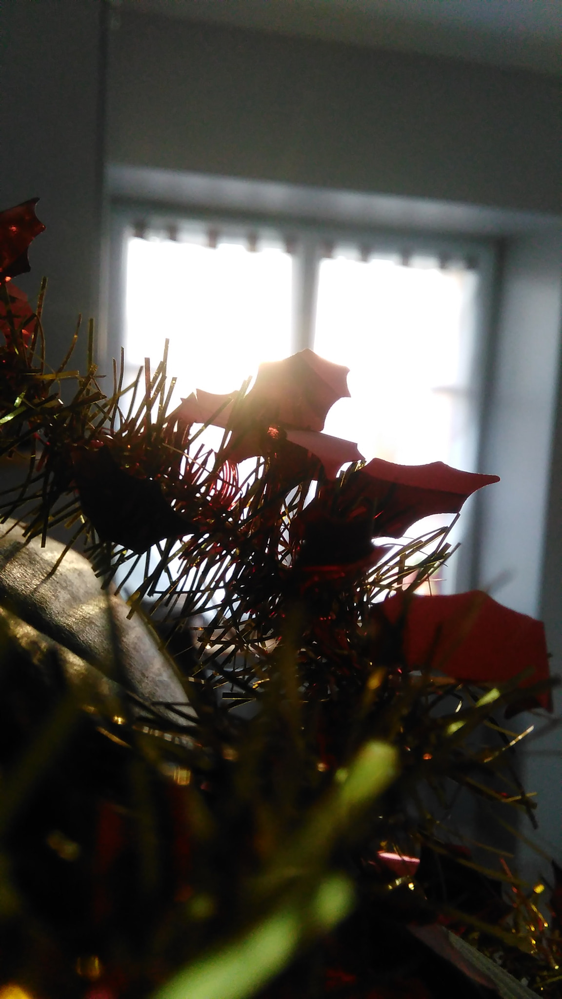 HUAWEI G620S-L01 sample photo. New day every days photography