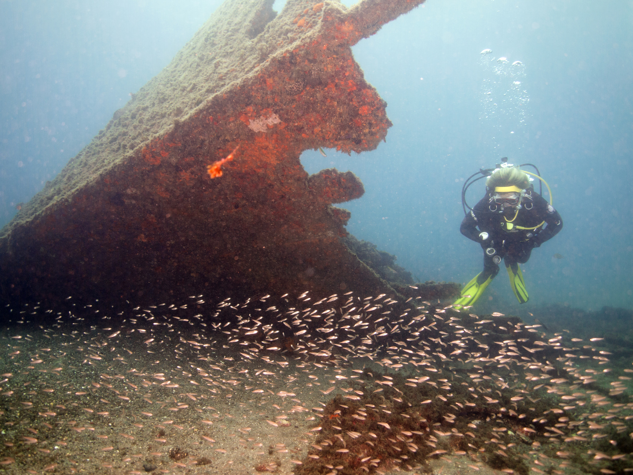 Olympus PEN E-PL3 sample photo. Lidador wreck, terceira acores photography