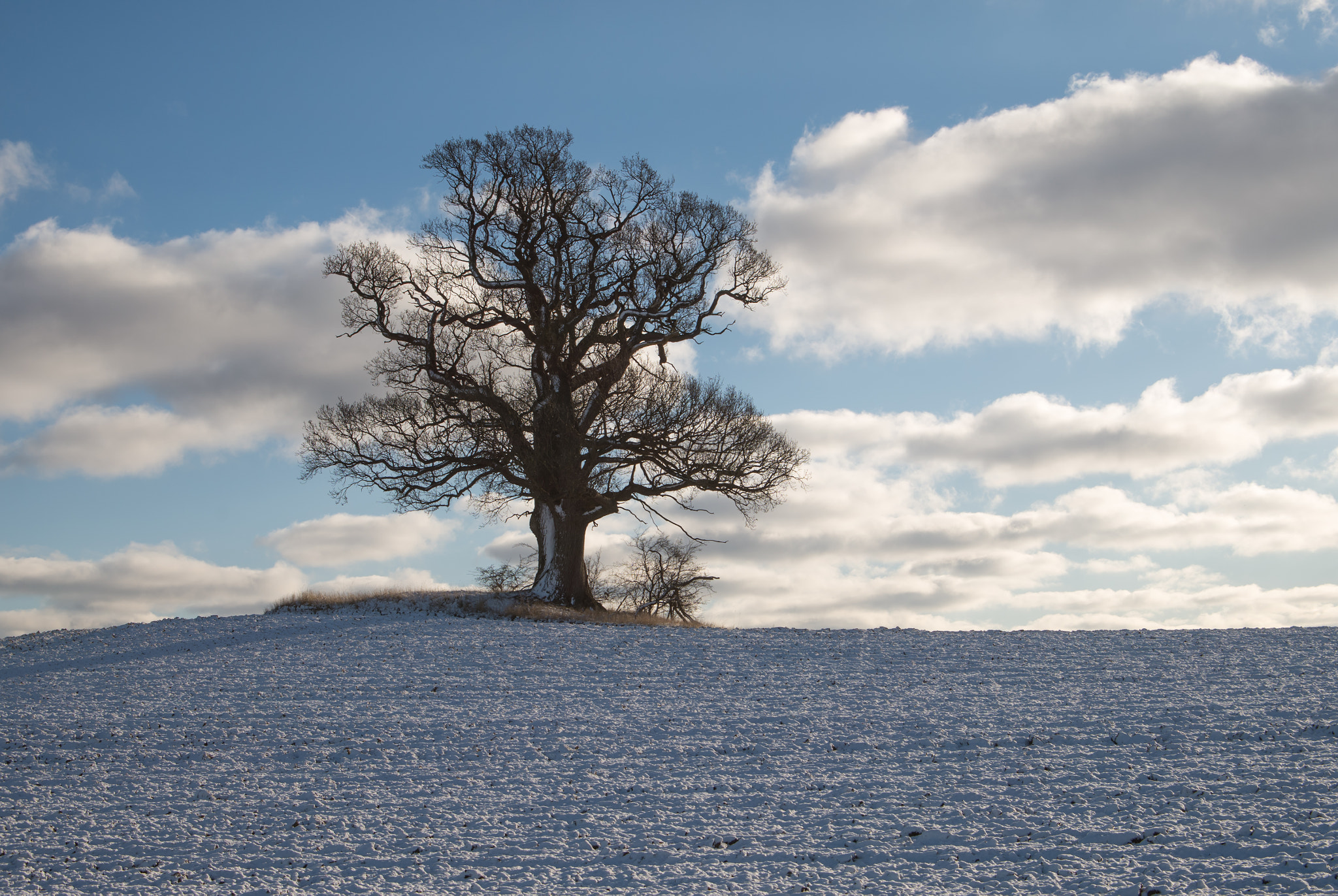 Pentax K-50 sample photo. On the top of the hill photography