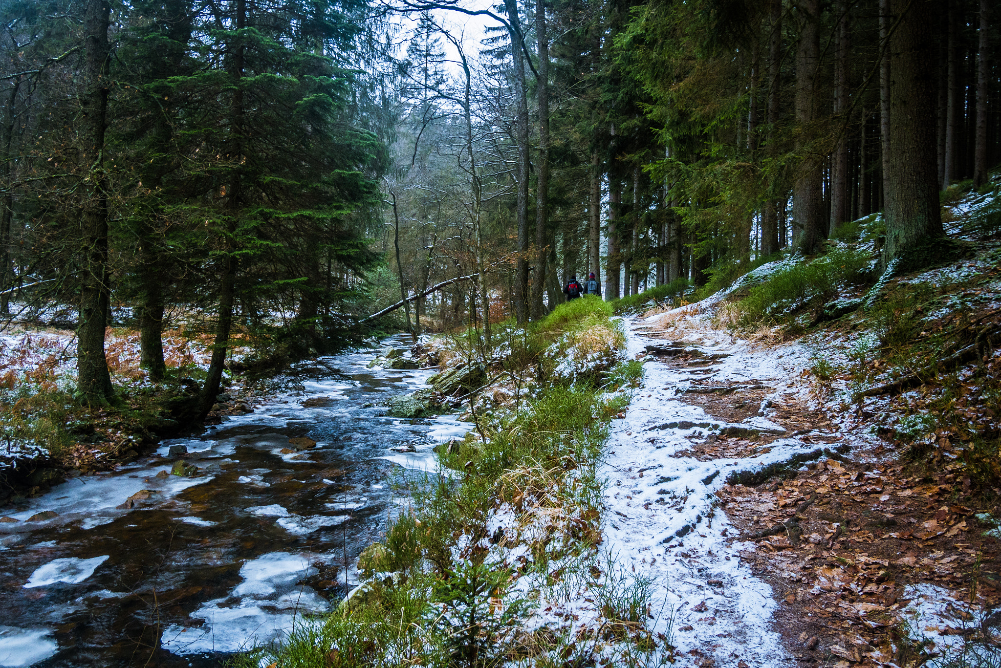 Panasonic Lumix DMC-GF7 sample photo. Exploring belgian's mountain photography