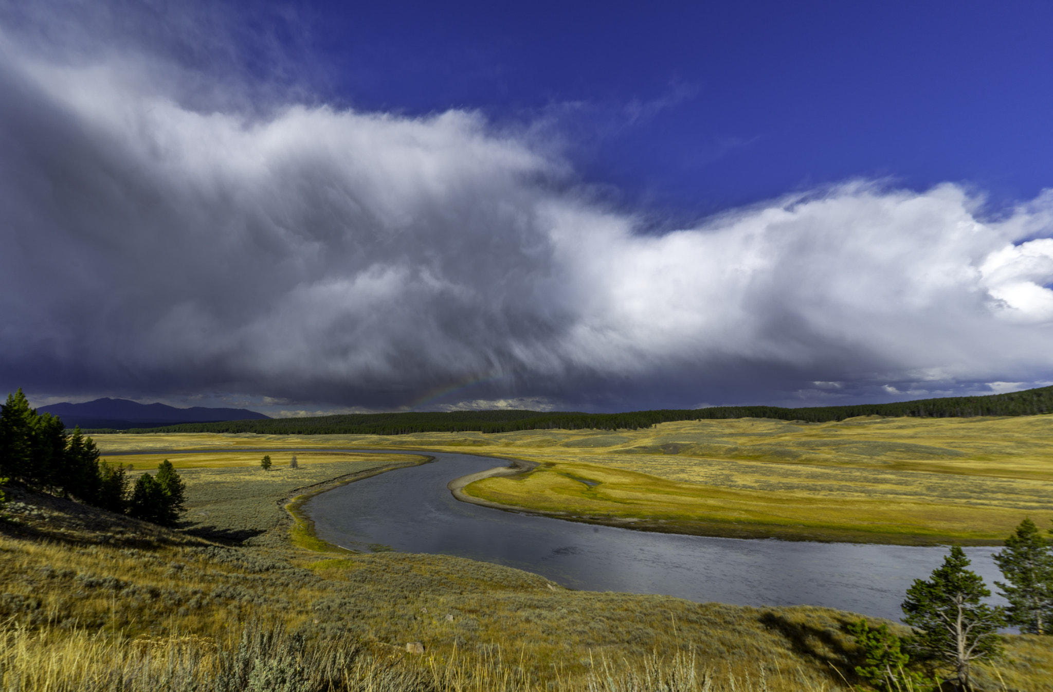 Sony a7R + FE 16mm F3.5 Fisheye sample photo. Yellowstone photography