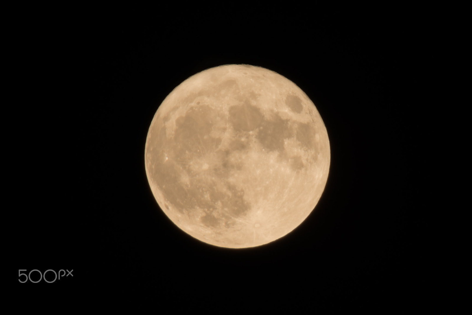 Nikon D800 sample photo. Closeup of the super fullmoon photography