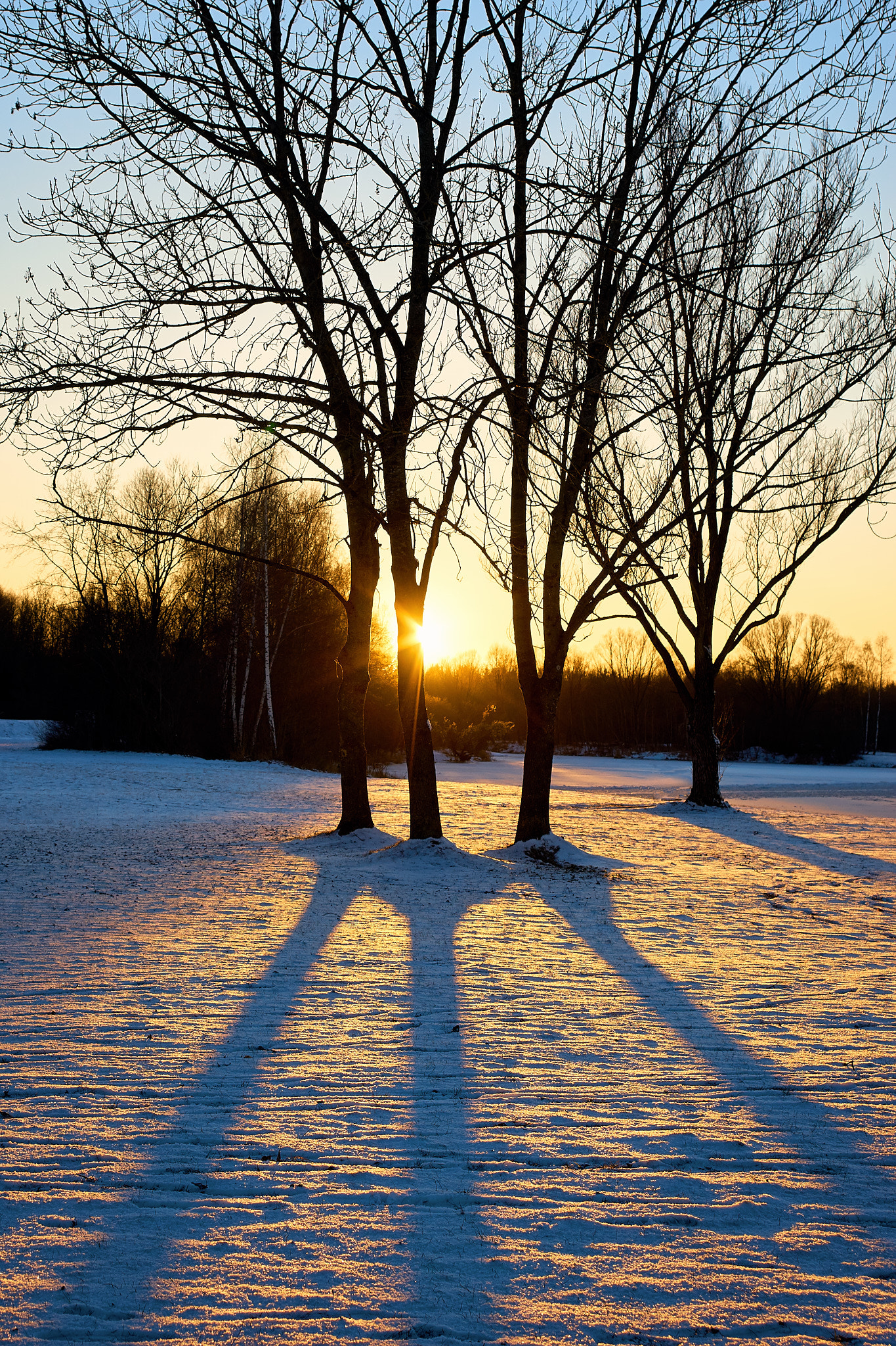 Sony a7 sample photo. Cold shadows photography