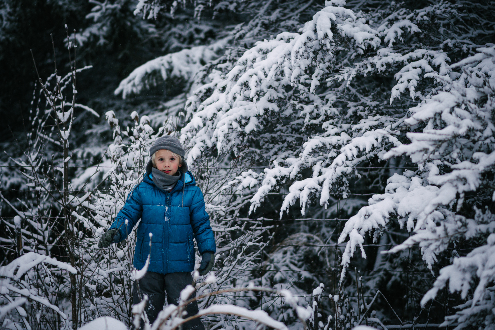 Nikon D800E + Nikon AF-S Nikkor 85mm F1.8G sample photo. Stuck in the snow photography