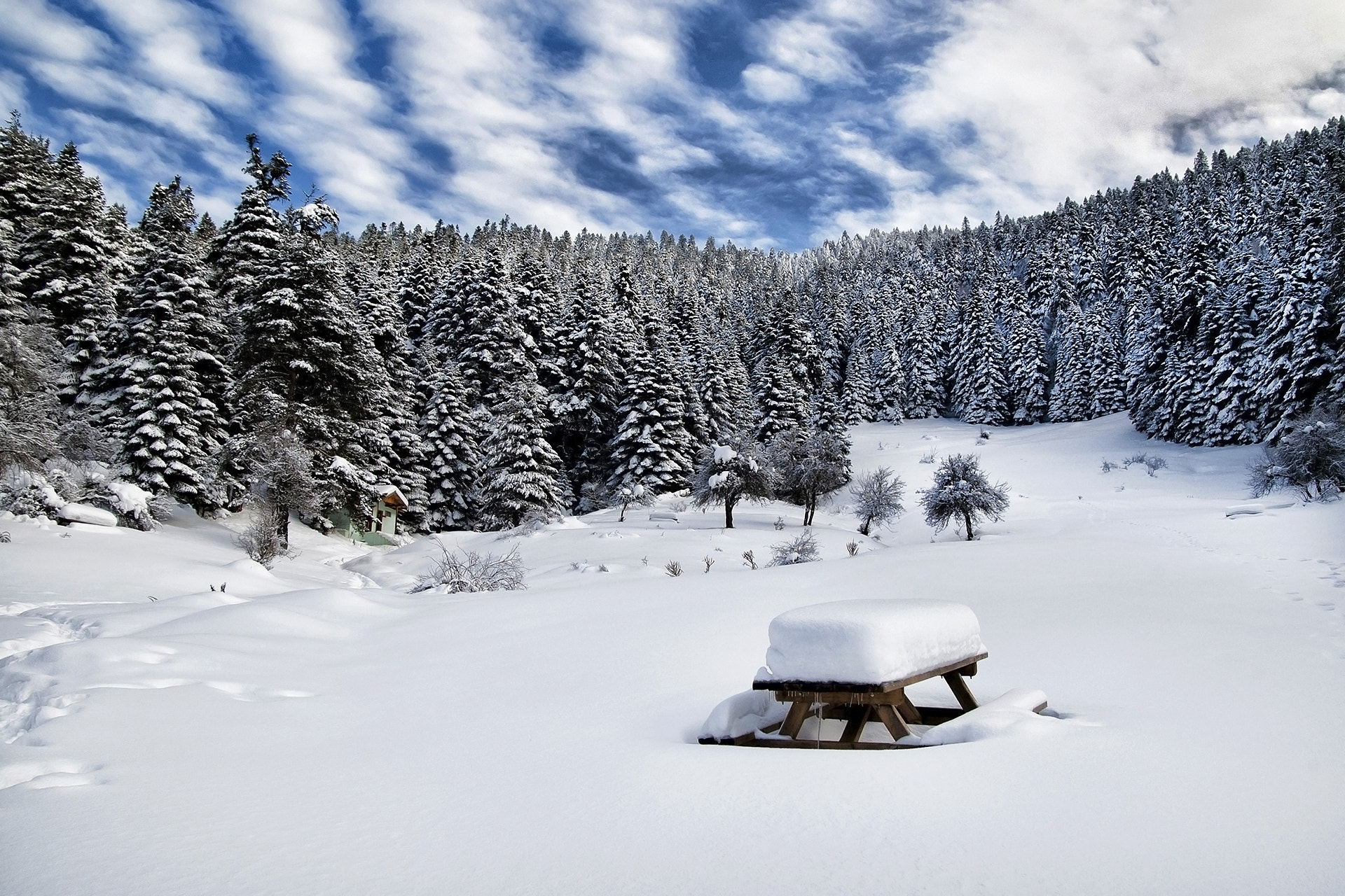 Nikon D70s + Sigma 17-70mm F2.8-4.5 DC Macro Asp. IF sample photo. Winter photography