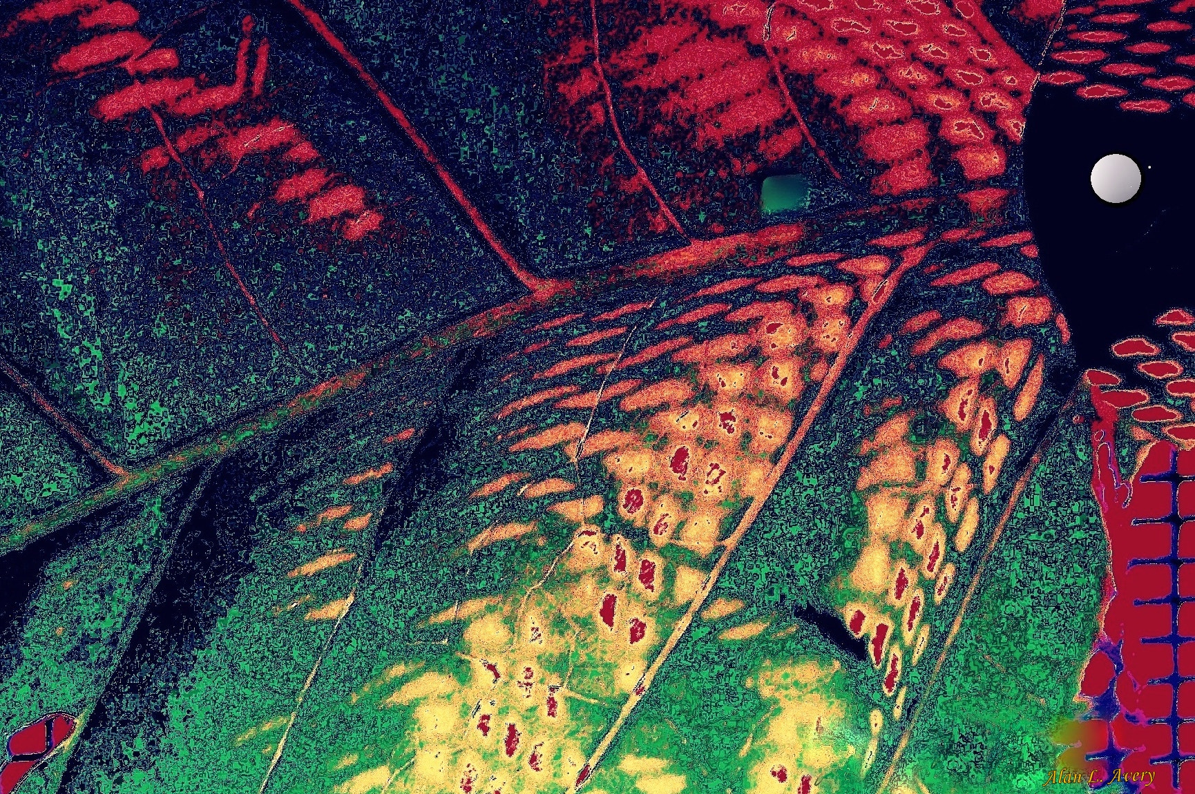 Kodak EasyShare M550 sample photo. Space leaves crop photography