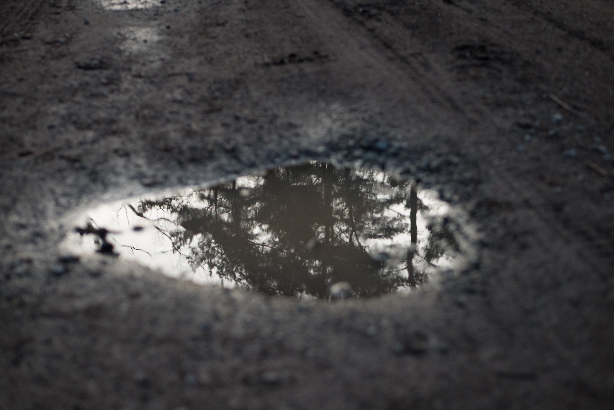 Panasonic DMC-G70 + LUMIX G 25/F1.7 sample photo. Mirror in the mud photography