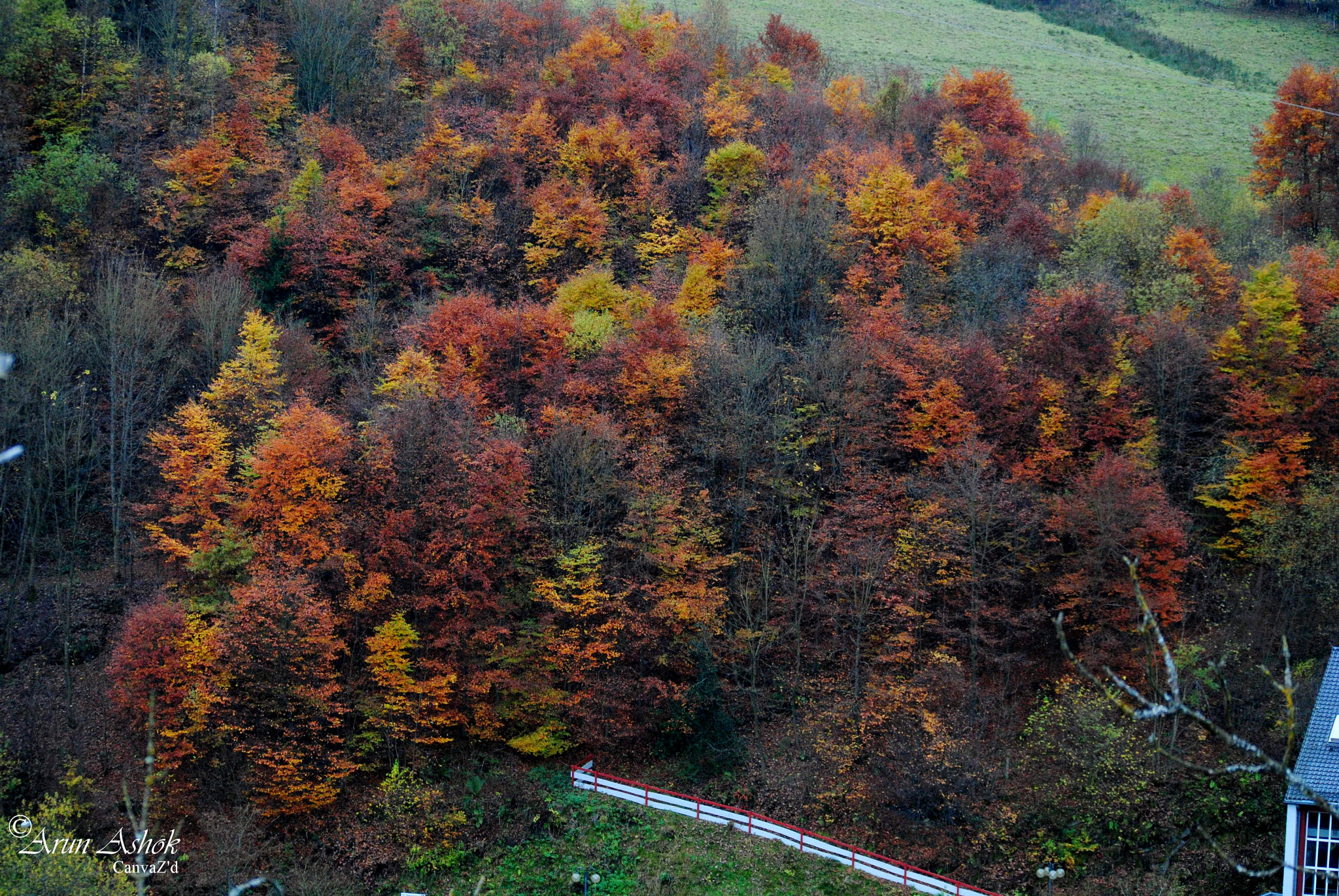 Nikon D3000 sample photo. Monshau photography