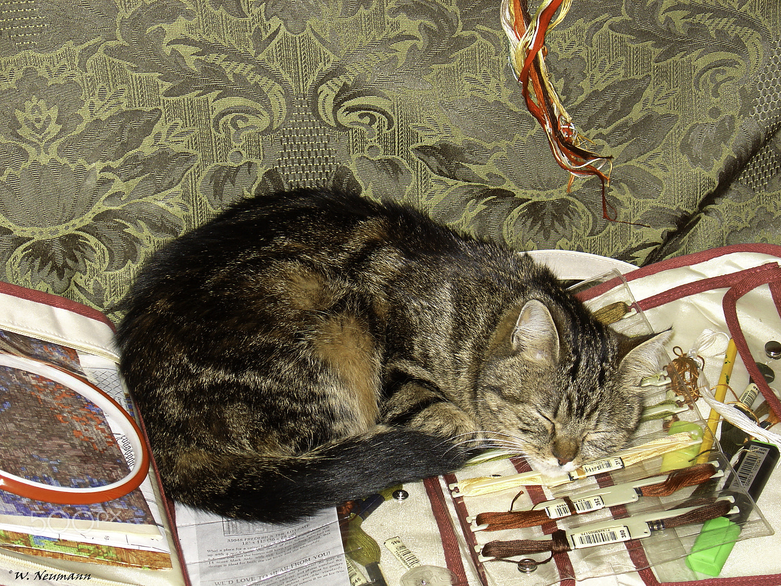 Sony DSC-V1 sample photo. Take a break. photography