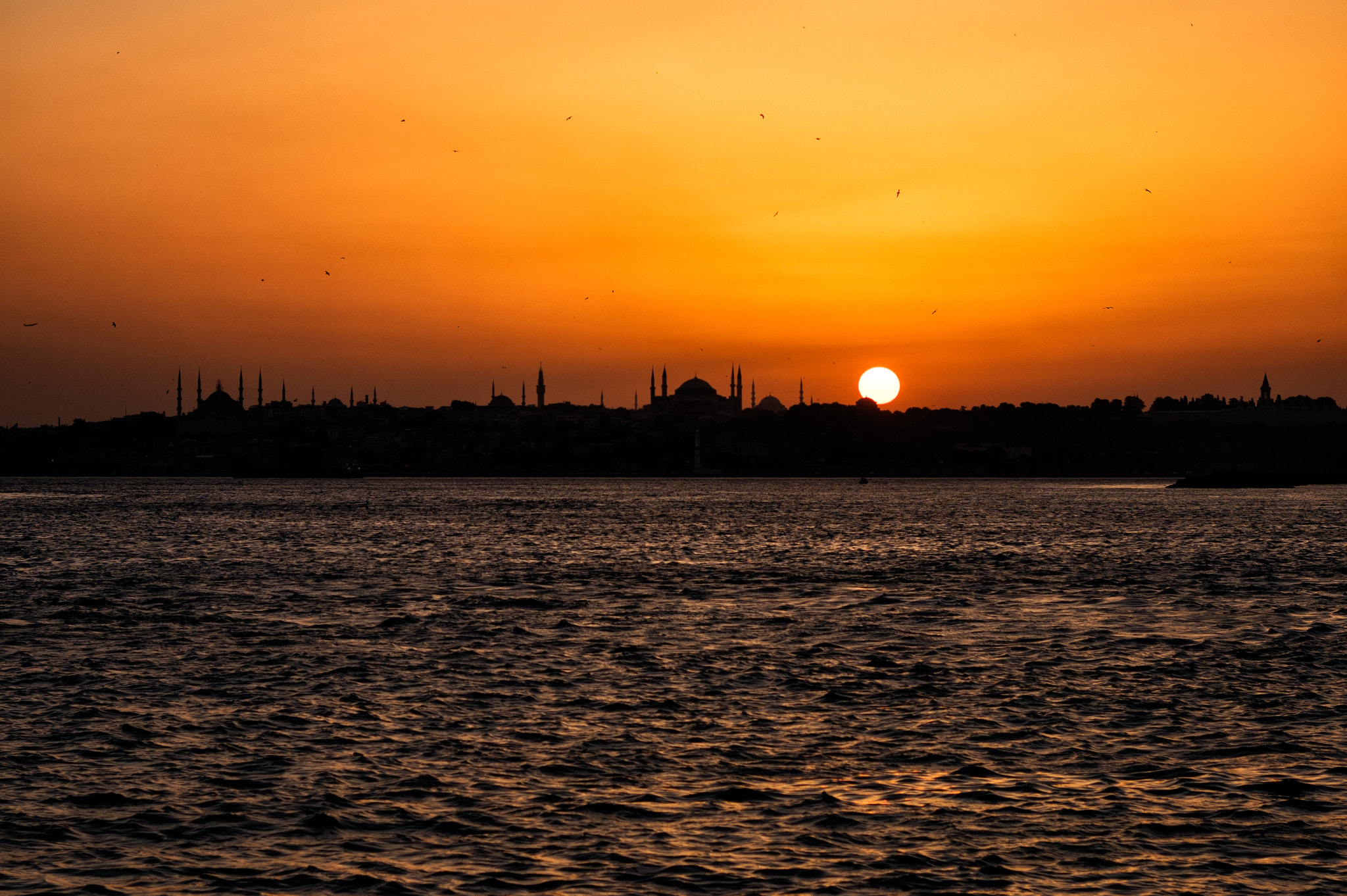 E 50mm F2 sample photo. Peaceful day photography