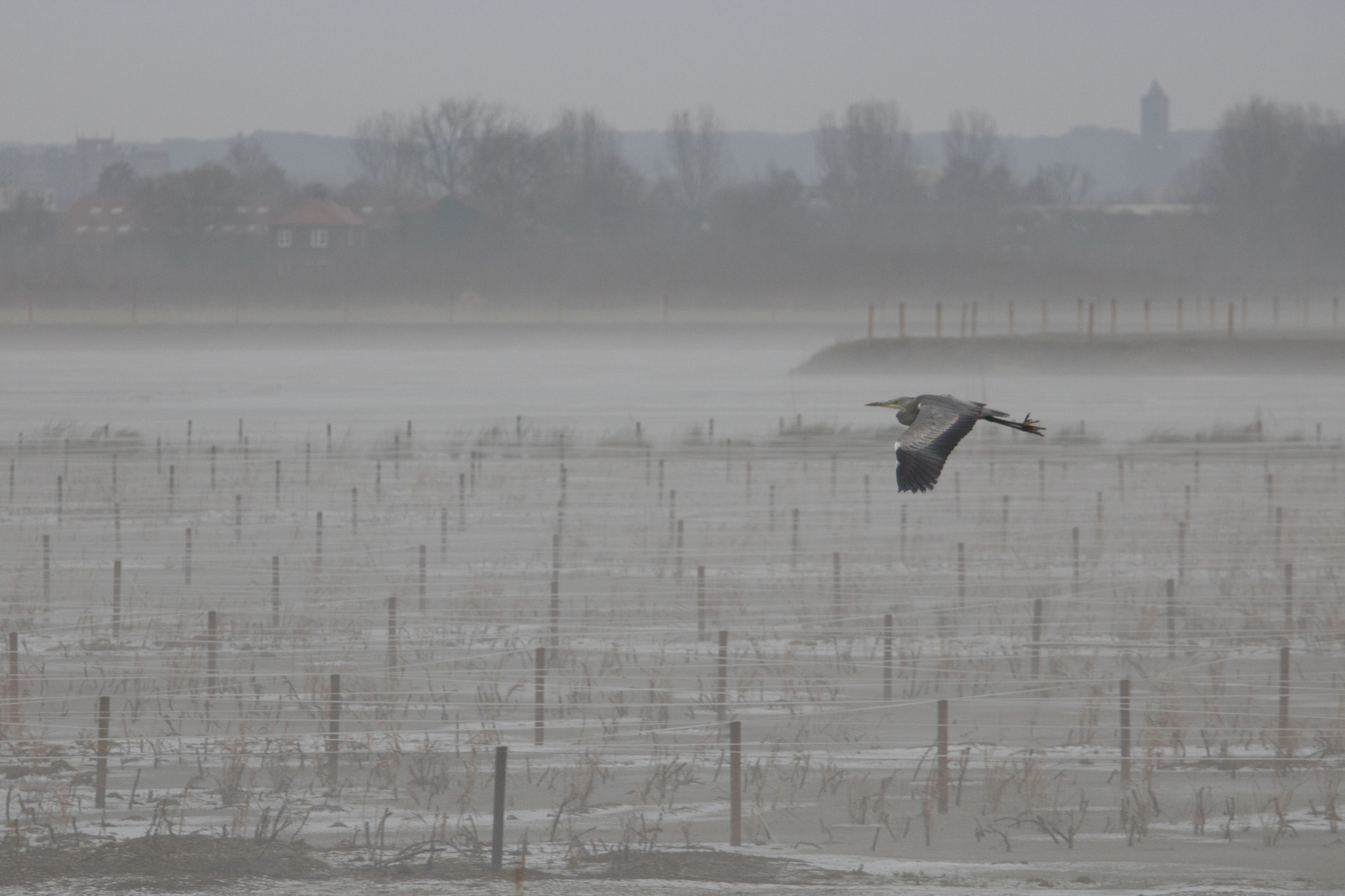 Canon EF 70-200mm F4L USM sample photo. Reiger landscape photography