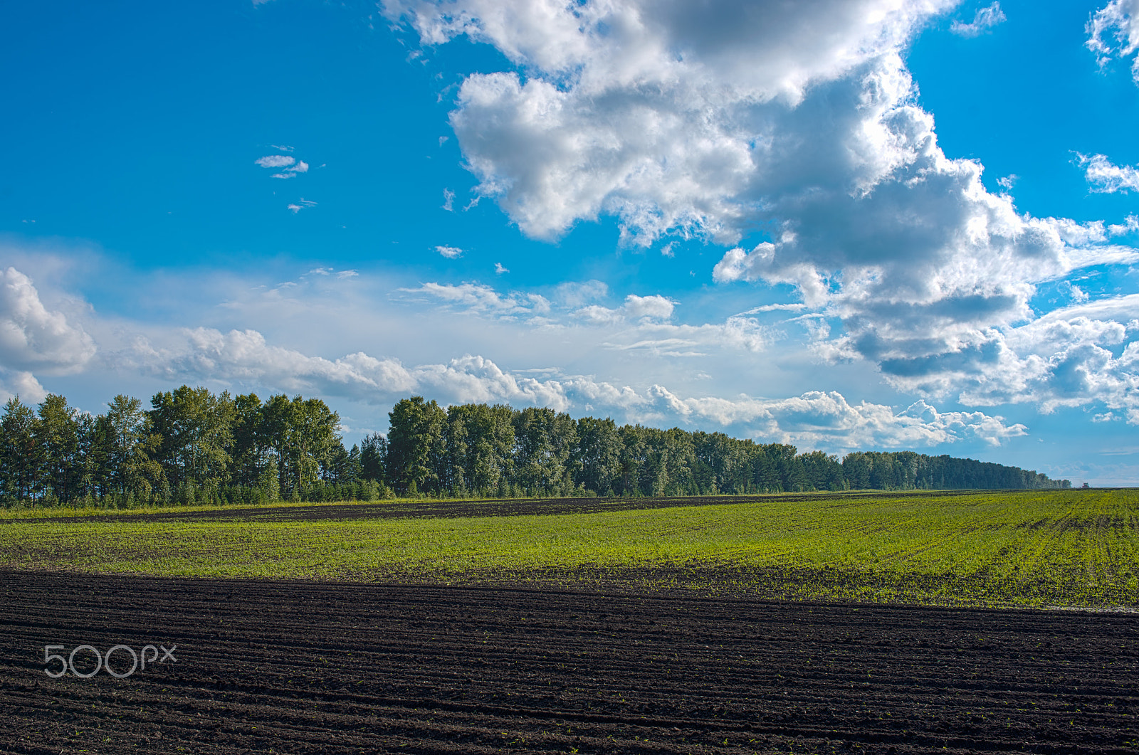 Nikon D800 + Nikon AF Nikkor 35mm F2D sample photo. Beautiful nature landscape photography