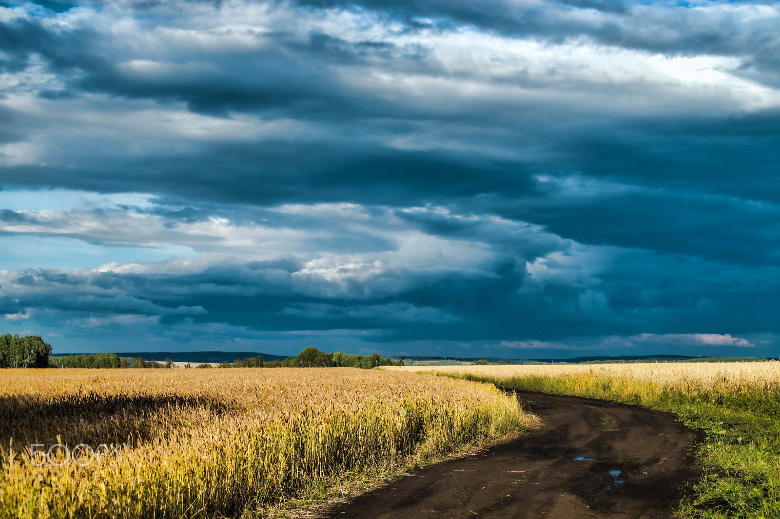 Nikon D800 sample photo. Beautiful nature landscape photography