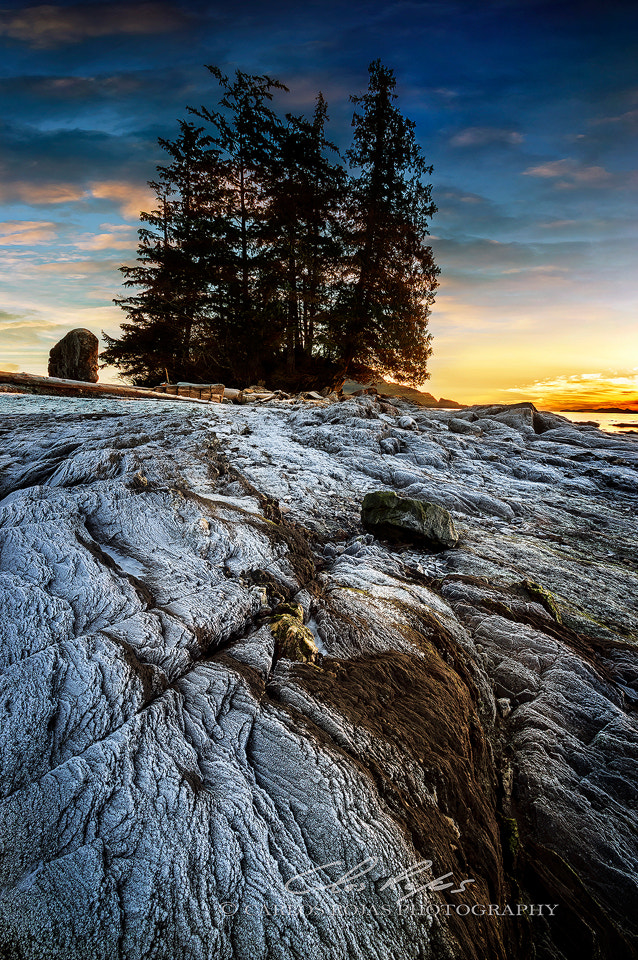 Pentax K-3 sample photo. Frozen shorline photography