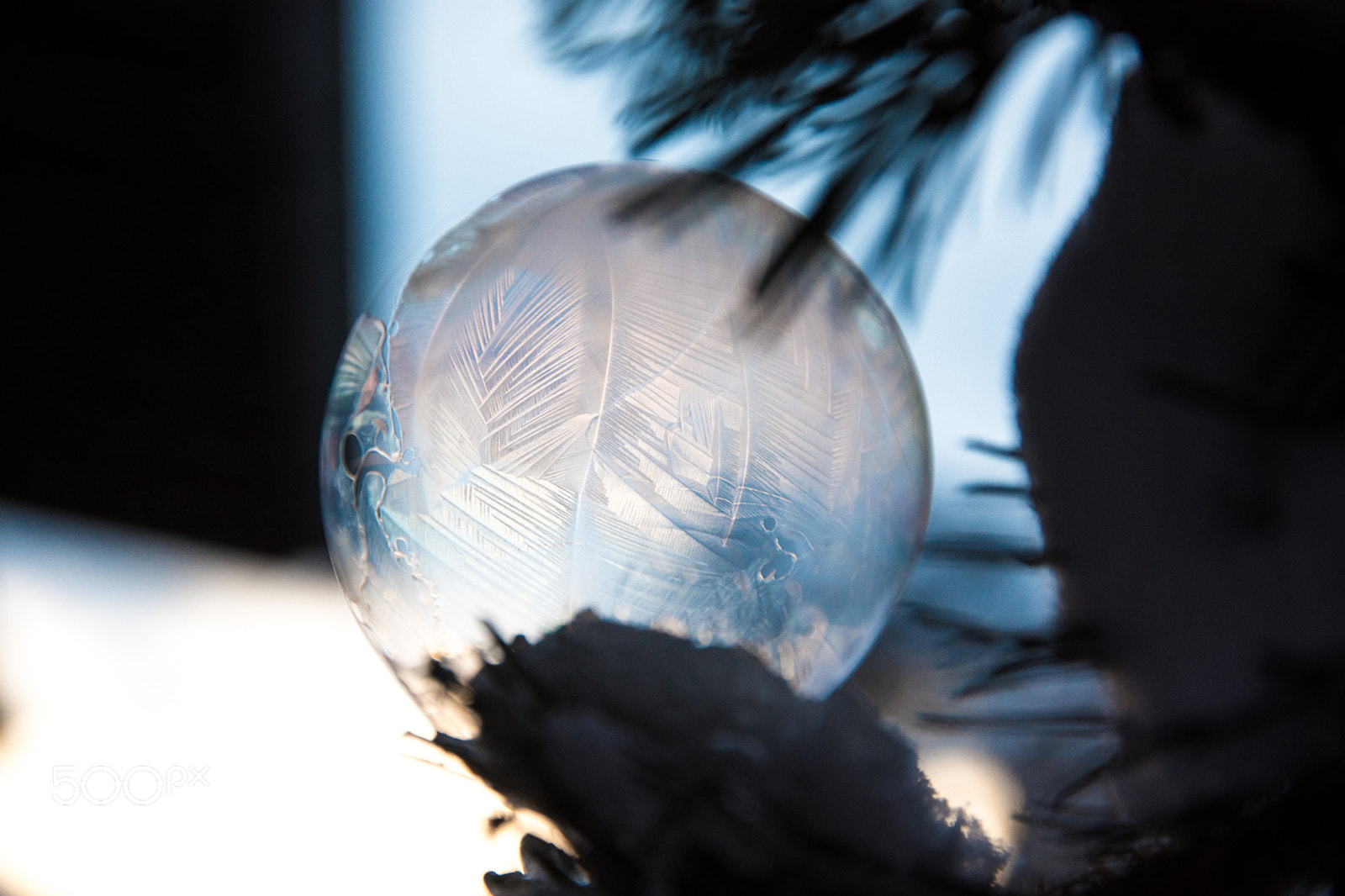 Nikon D7200 sample photo. Frozen soapbubble_2 photography