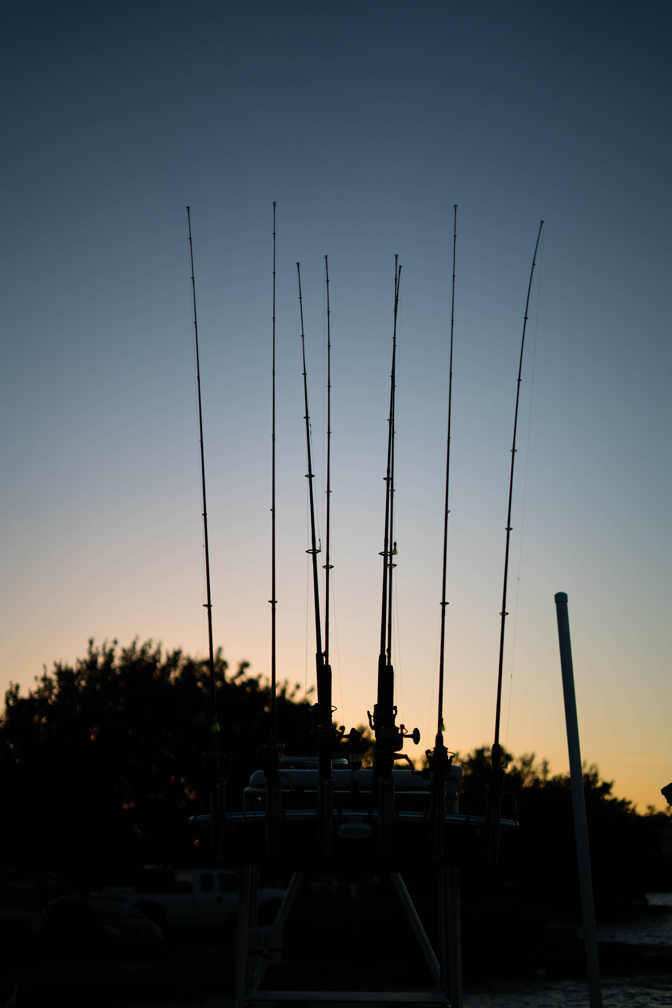 Sony a7R II + Sony FE 50mm F1.8 sample photo. Back from fishing. photography