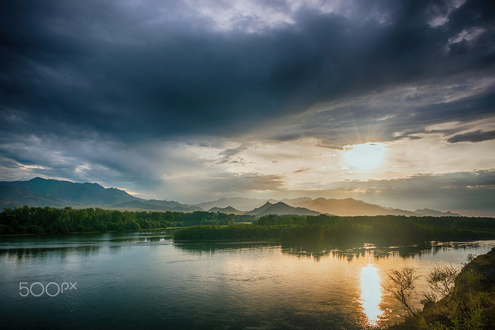 Sigma 12-24mm F4.5-5.6 II DG HSM sample photo. Beautiful forest landscape photography