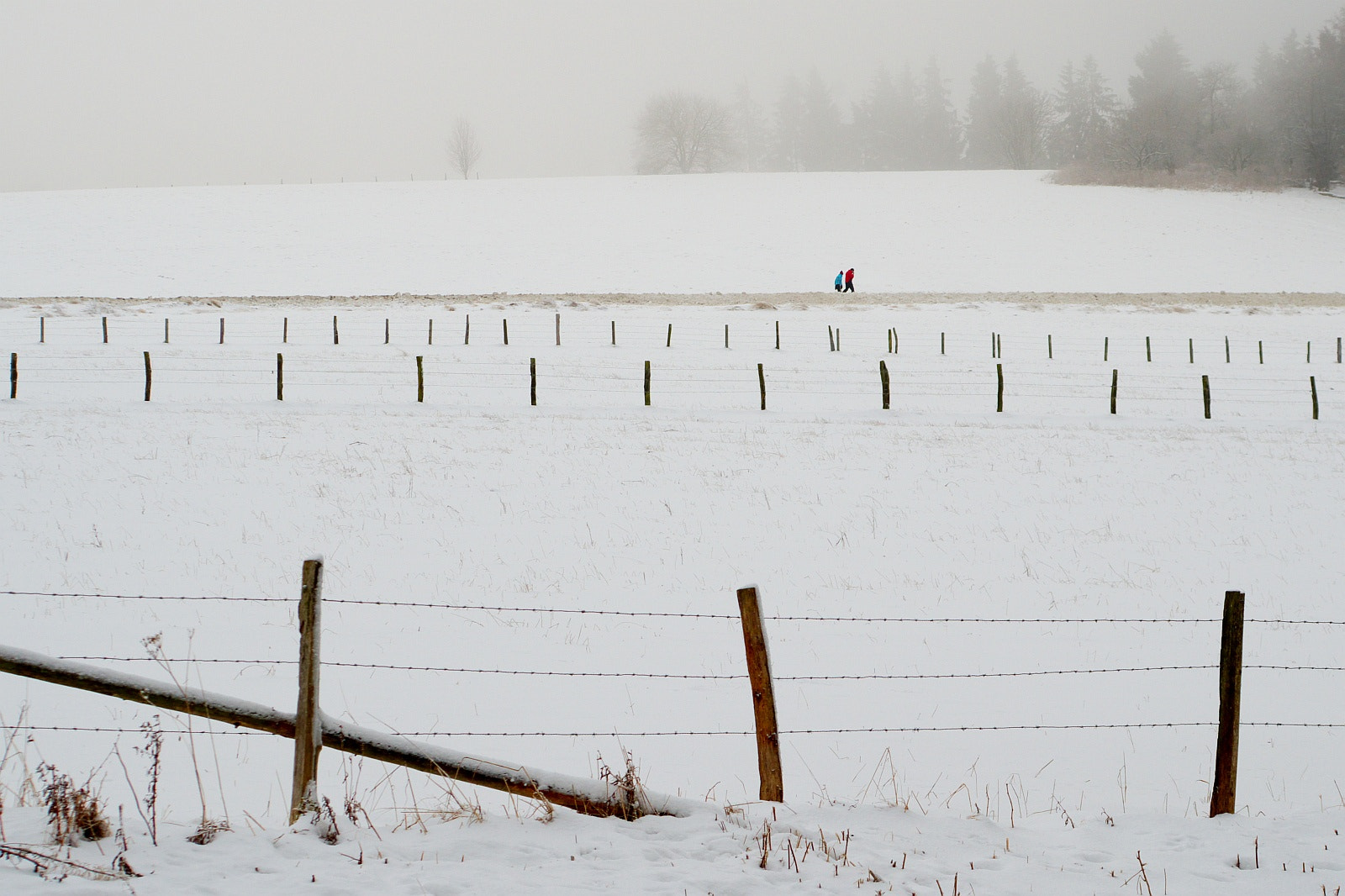 Pentax K-30 sample photo. Red and blue photography