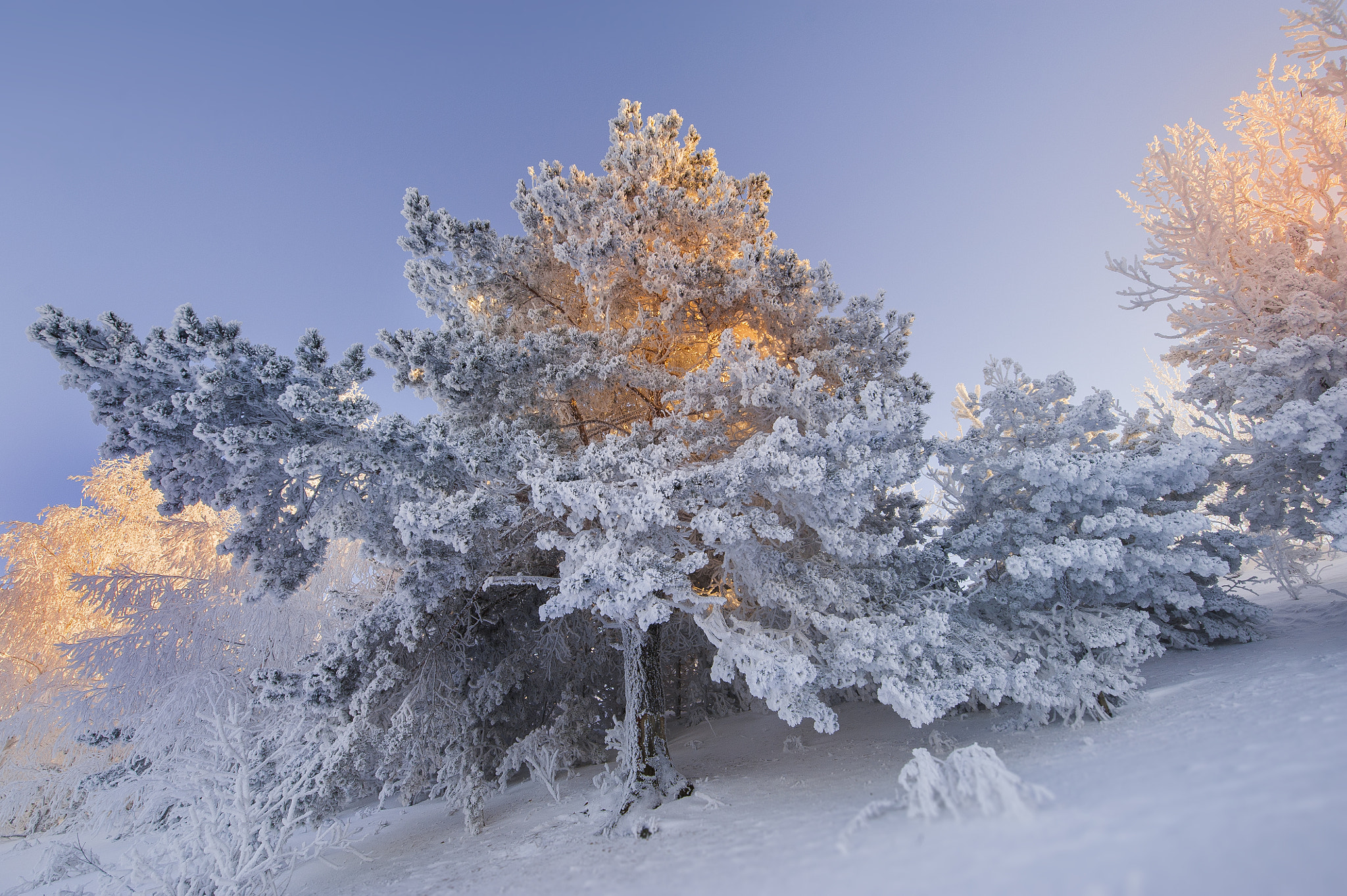 Nikon D700 + Tamron SP 15-30mm F2.8 Di VC USD sample photo. Lovely russian winter photography