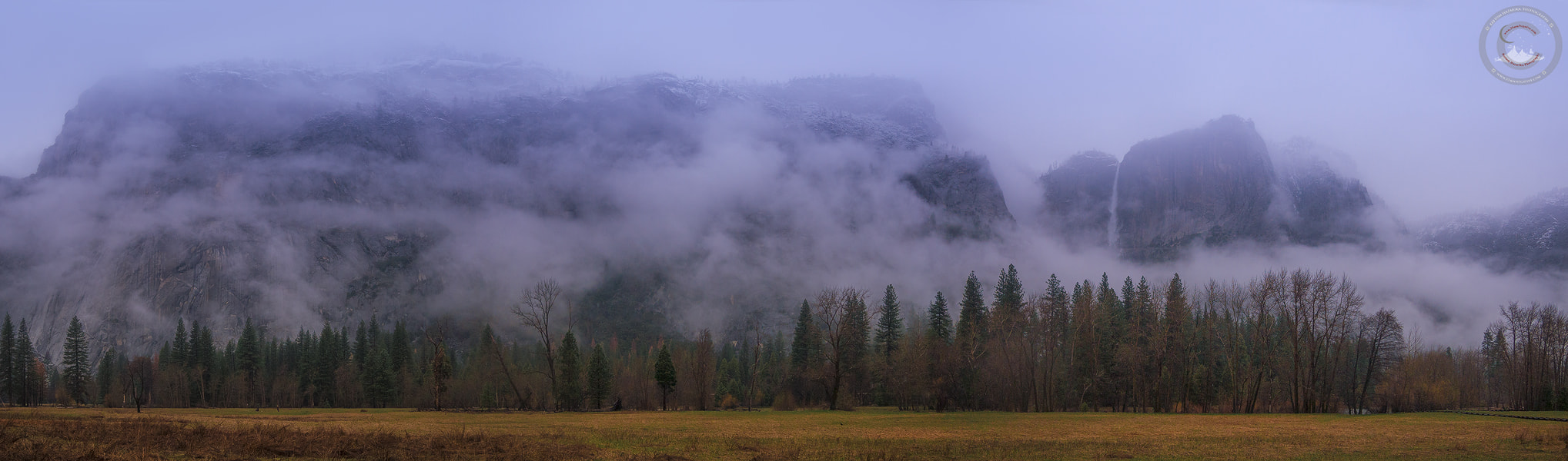 Olympus M.Zuiko Digital 14-42mm F3.5-5.6 II R sample photo. Evanescence photography