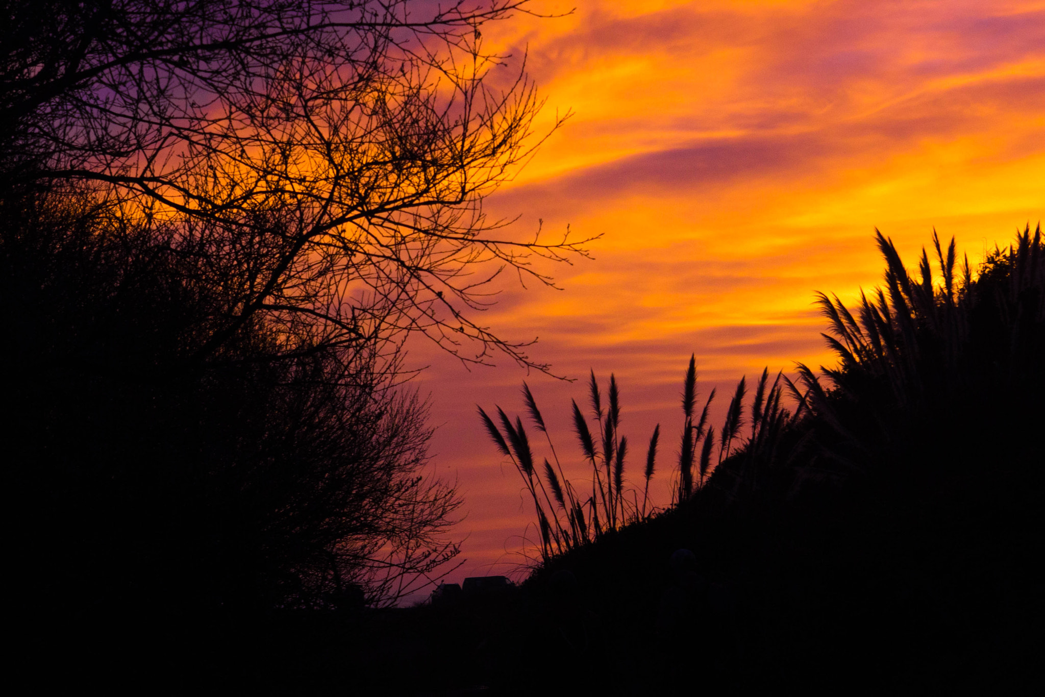 EF28-70mm f/2.8L USM sample photo. Sunset on the lost coast photography