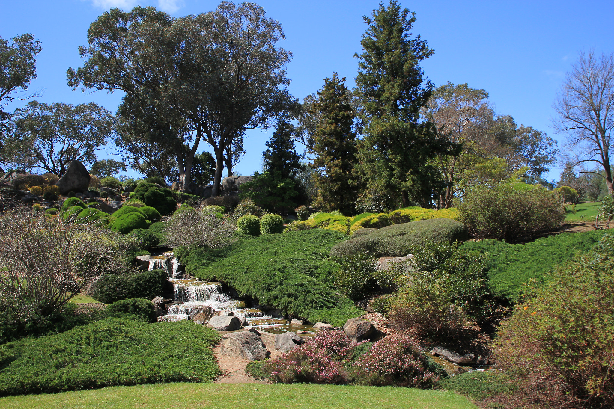 Canon EOS 60D sample photo. Cowra gardens photography