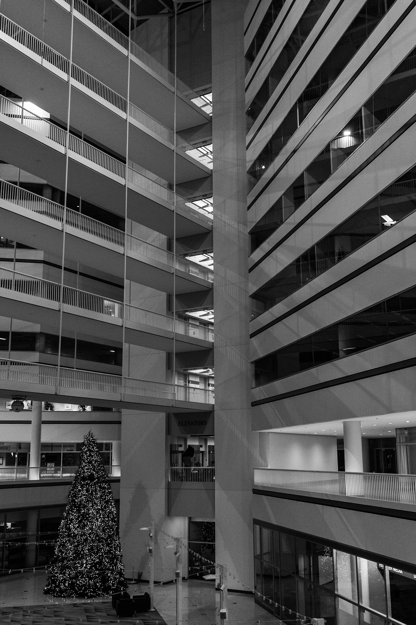 Canon EF-S 24mm F2.8 STM sample photo. Skywalk photography