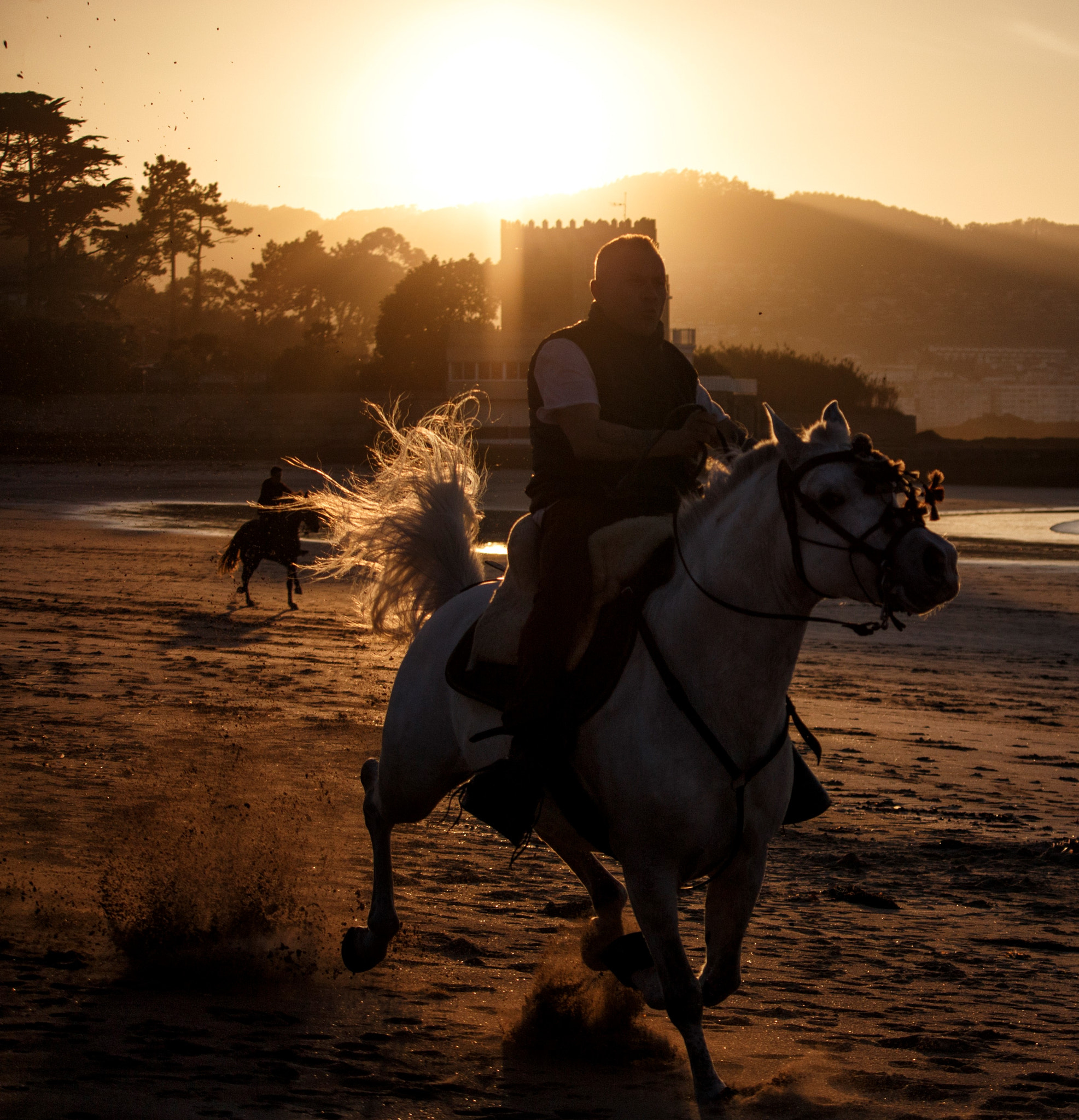 Canon EF-S 55-250mm F4-5.6 IS STM sample photo. The run photography