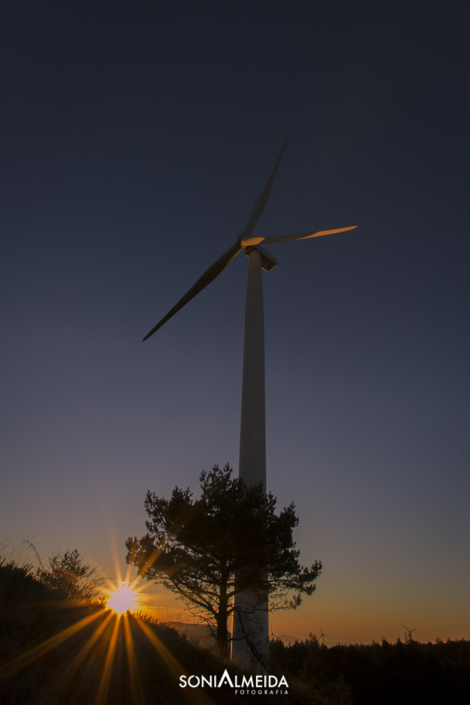 Sigma 10-20mm F3.5 EX DC HSM sample photo. Energy photography