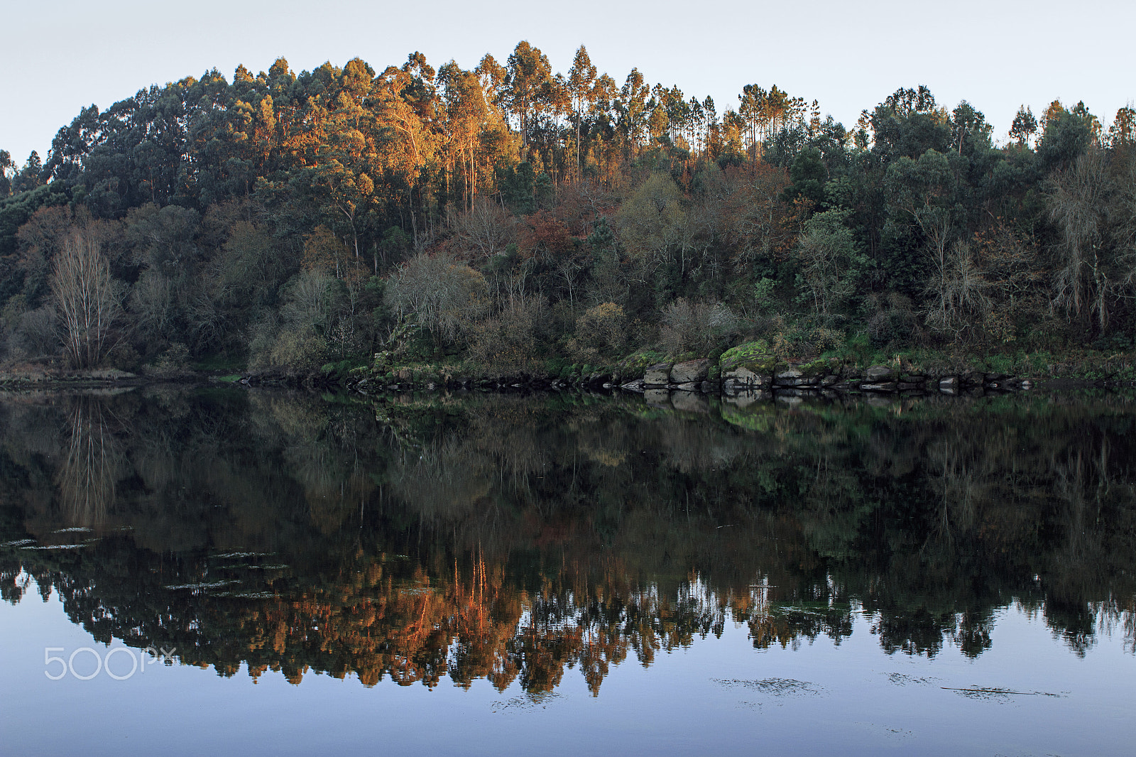 Canon EF 28mm F2.8 IS USM sample photo. Reflections photography
