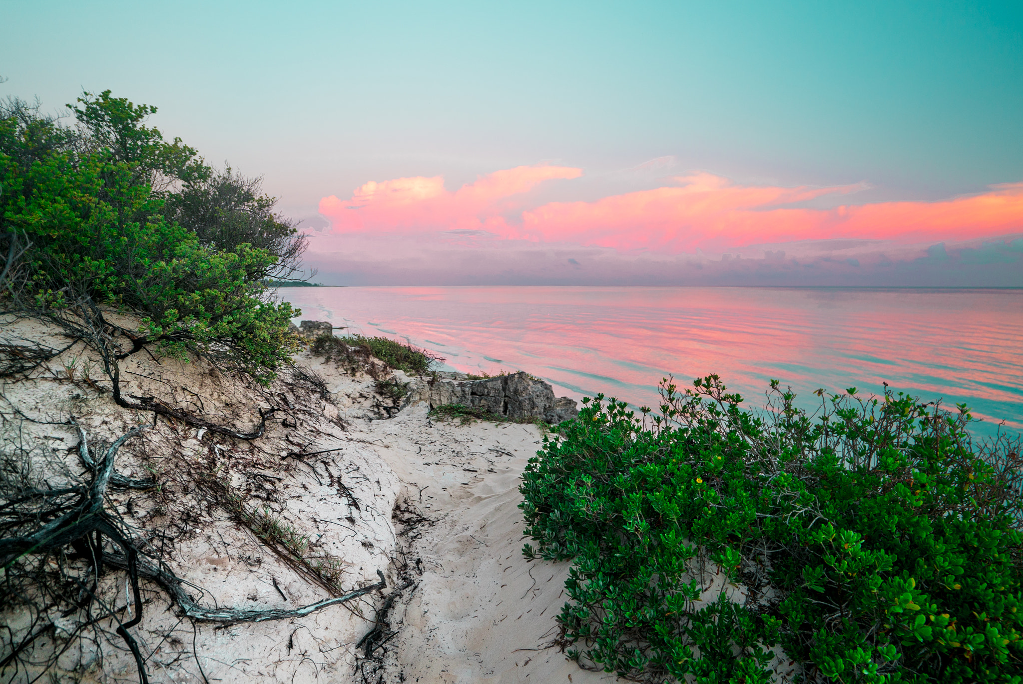 Sony a7S II + Sony Vario-Tessar T* FE 16-35mm F4 ZA OSS sample photo. Cayo coco winter beach photography