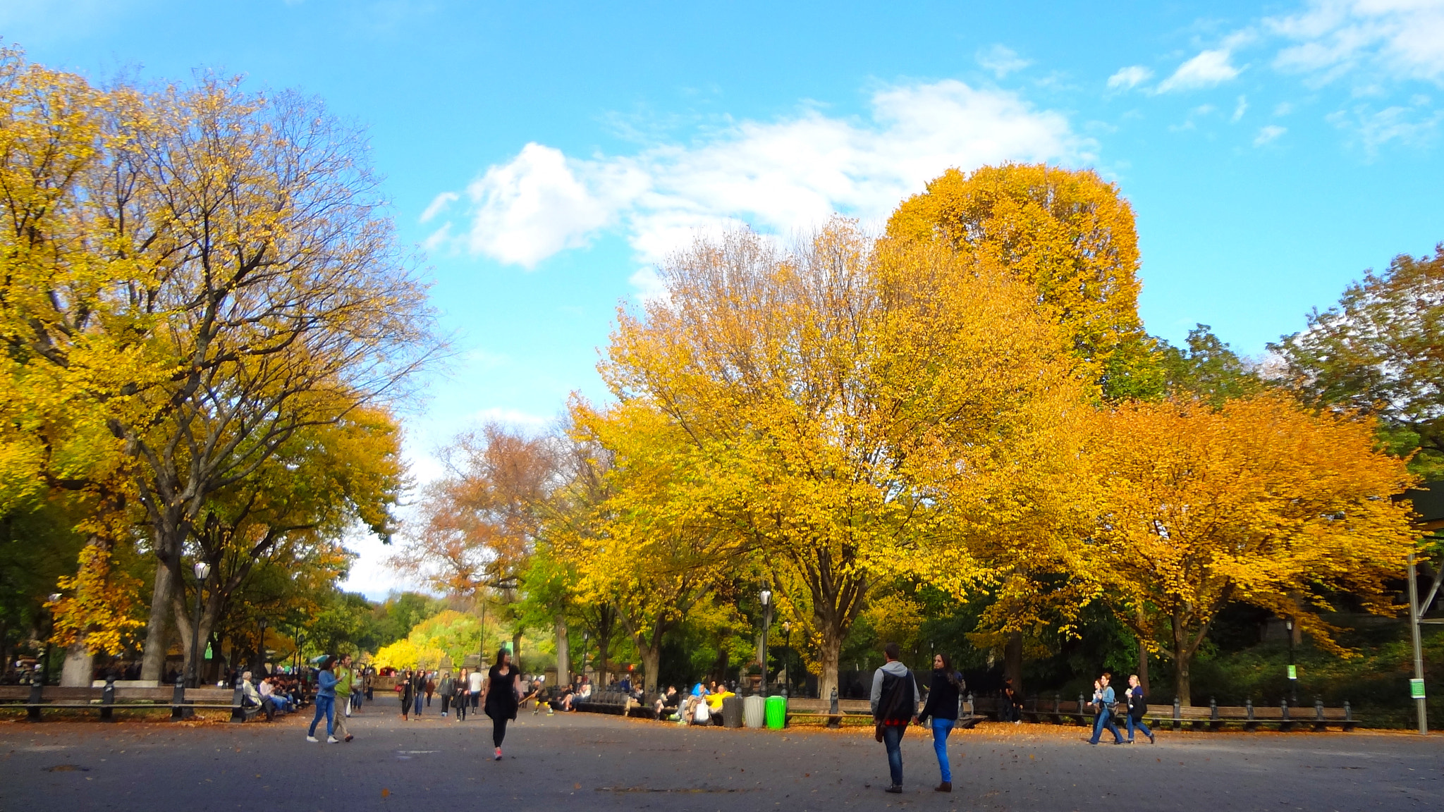 Sony DSC-WX7 sample photo. Central park photography