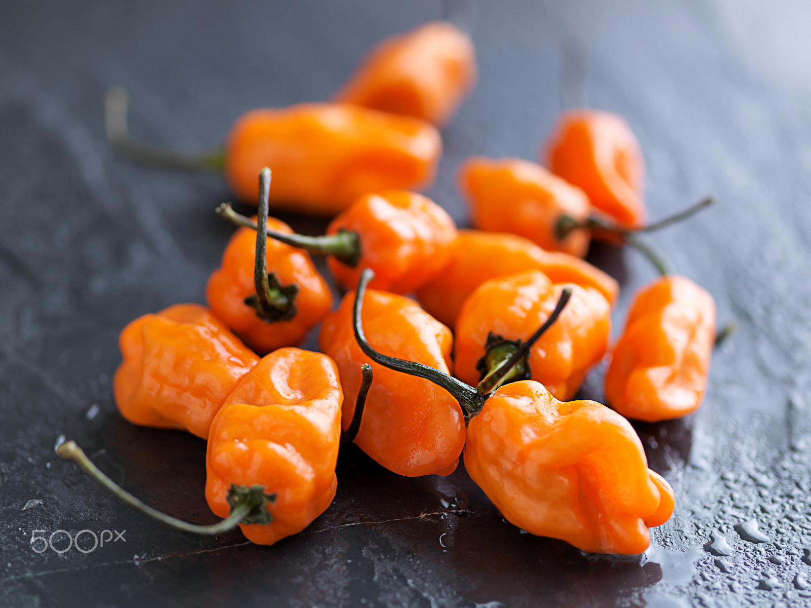 Hasselblad H4D-40 sample photo. Pile of spicy habanero peppers photography