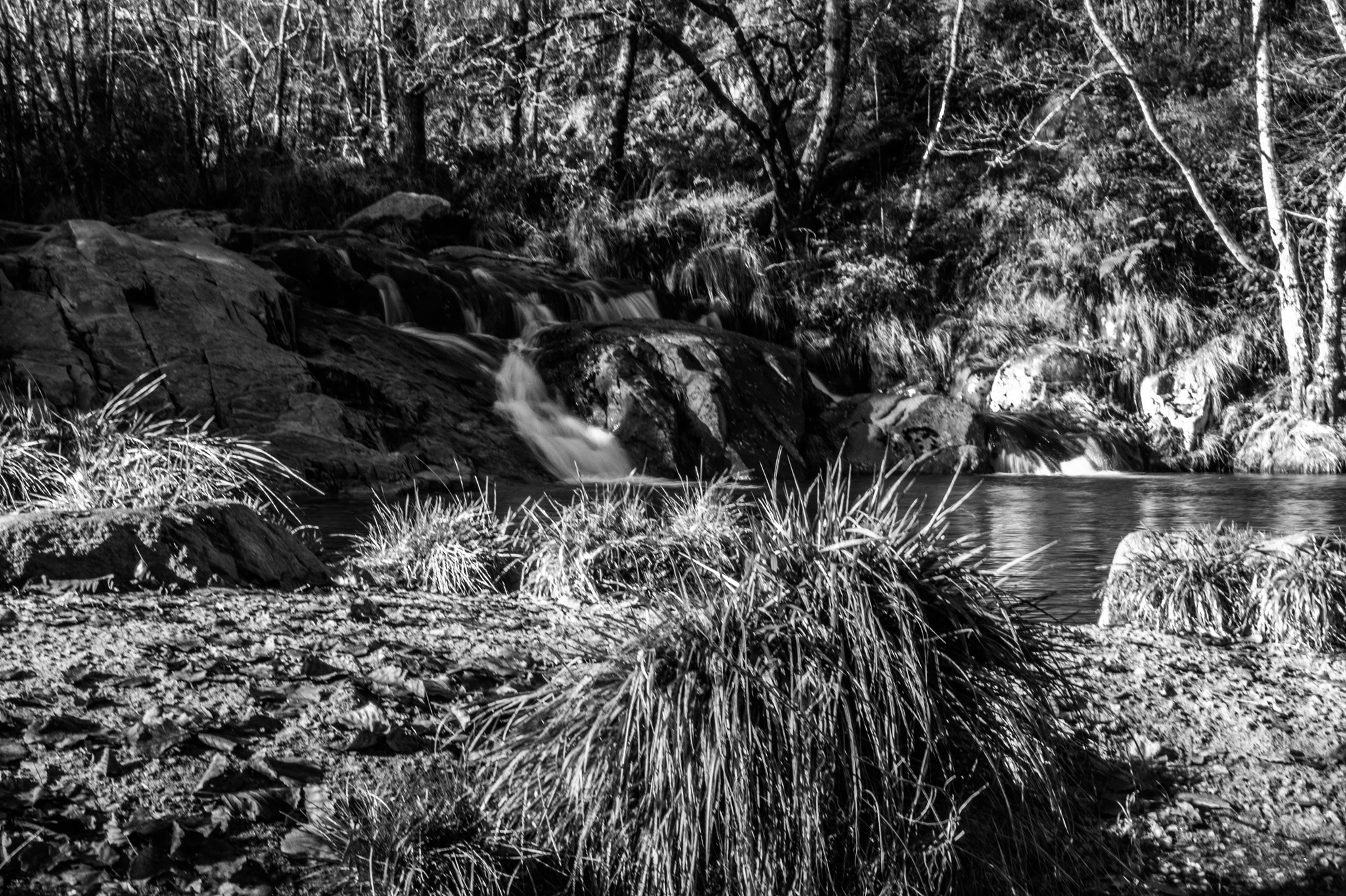 Canon EOS 650D (EOS Rebel T4i / EOS Kiss X6i) sample photo. Melon (ourense) photography