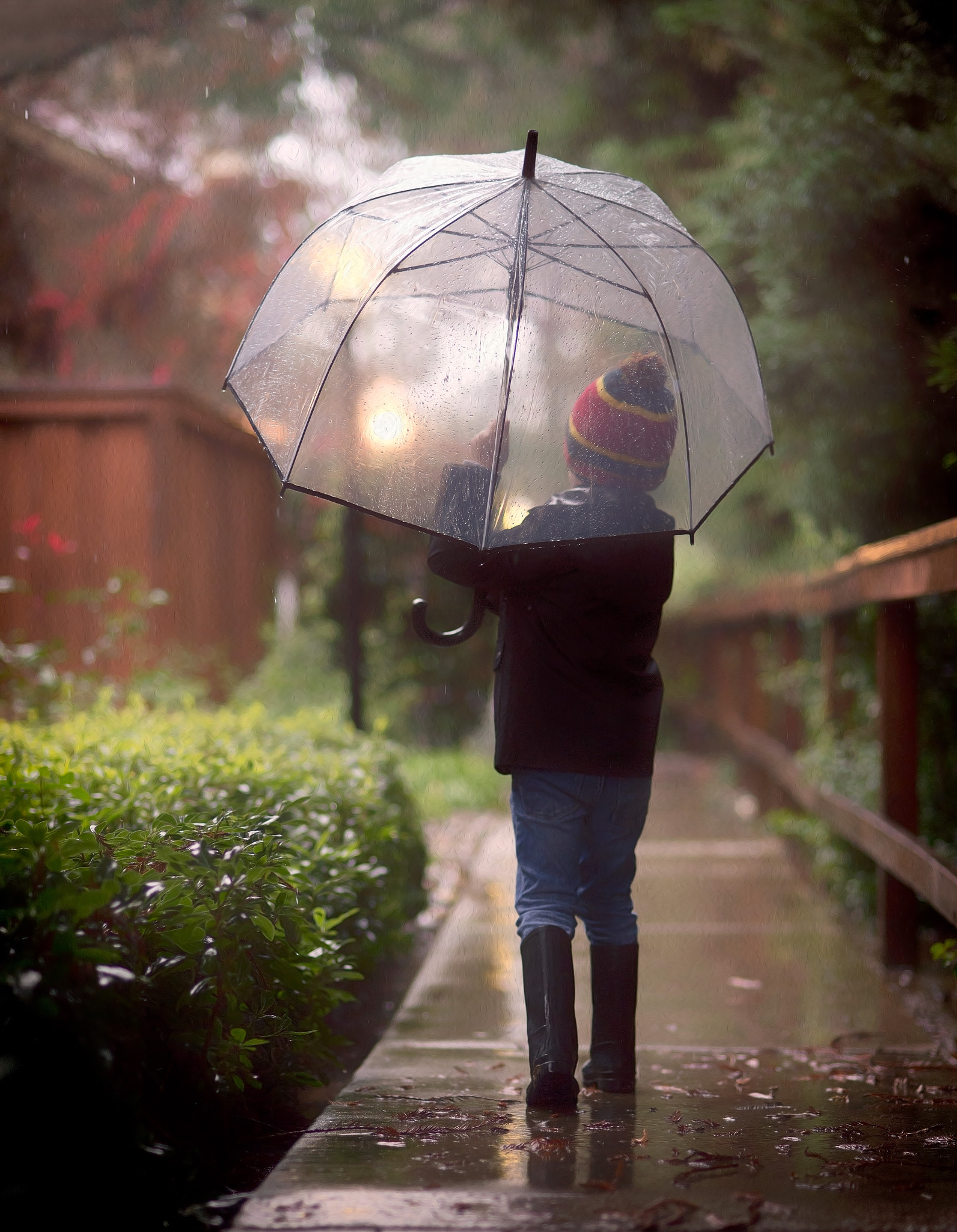 Nikon D600 + AF Nikkor 85mm f/1.8 sample photo. Rainy photography