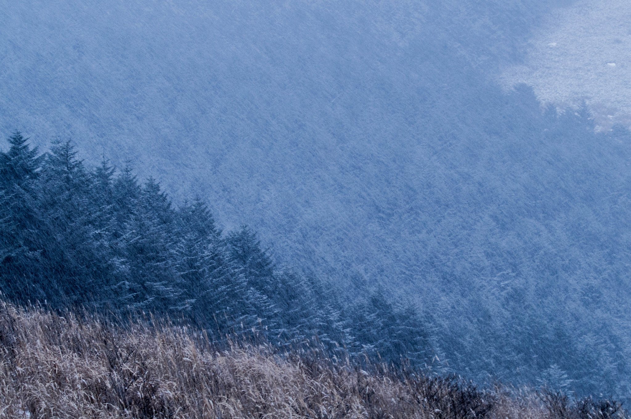 Sony 75-300mm F4.5-5.6 sample photo. 霧ヶ峰冬景色 photography