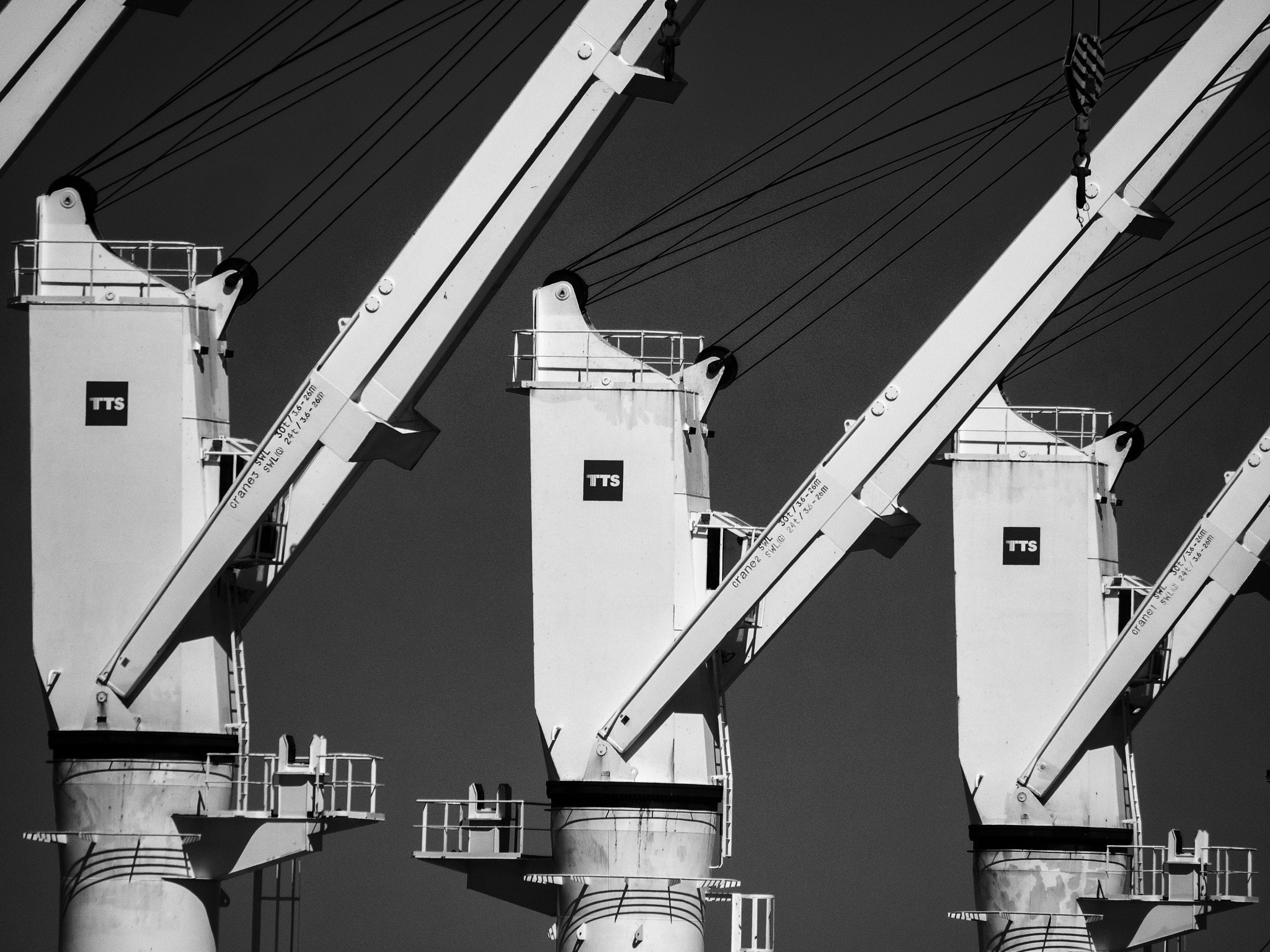 Olympus OM-D E-M1 sample photo. Tts cranes - densa hawk photography