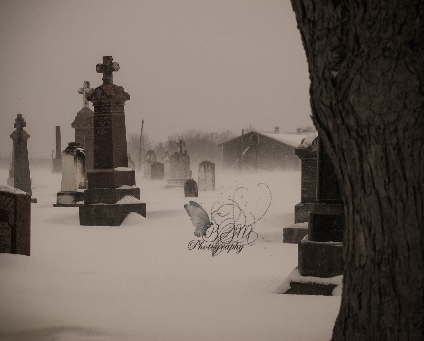 Nikon D70 sample photo. Church photography