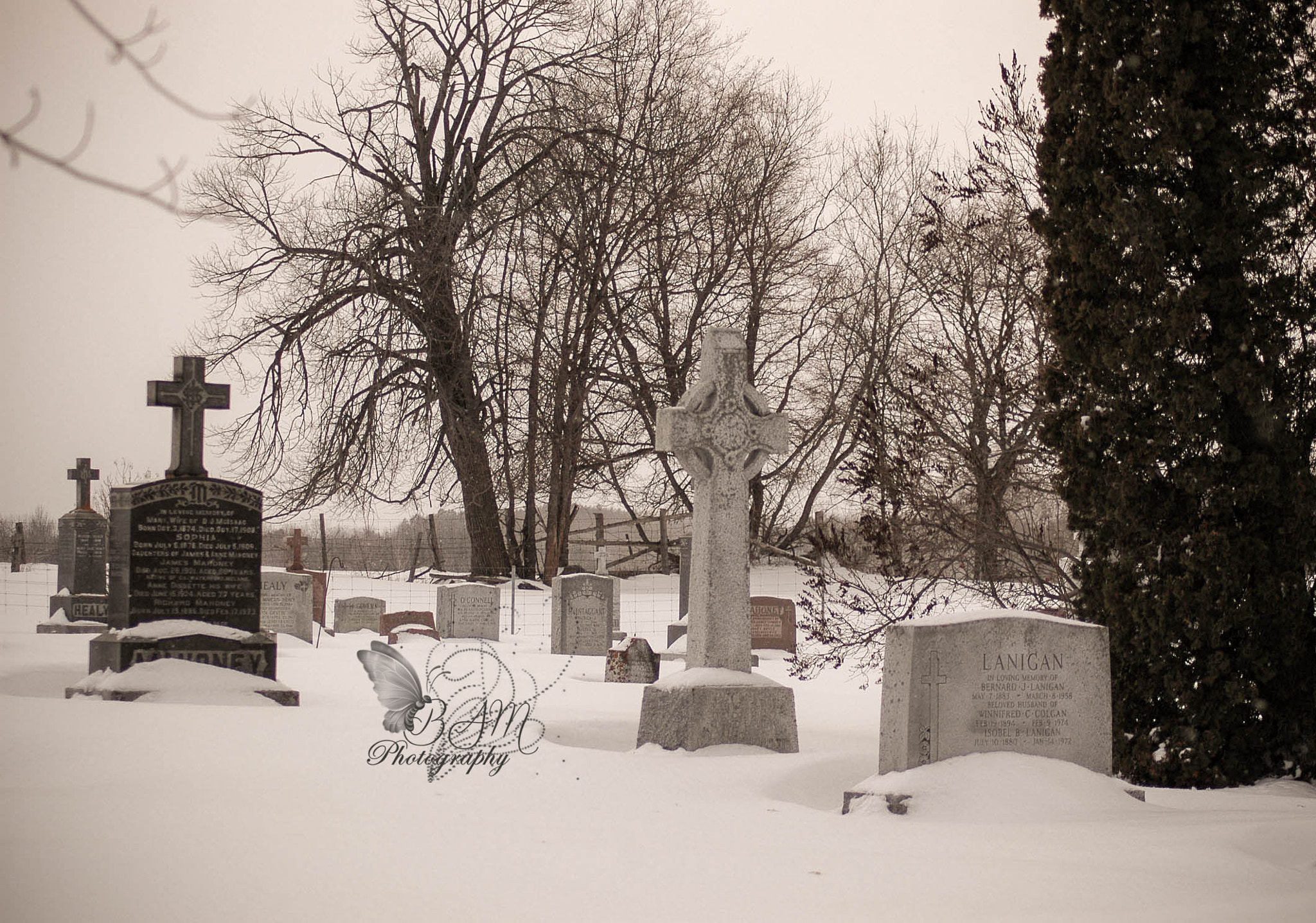 Nikon D70 sample photo. Church photography