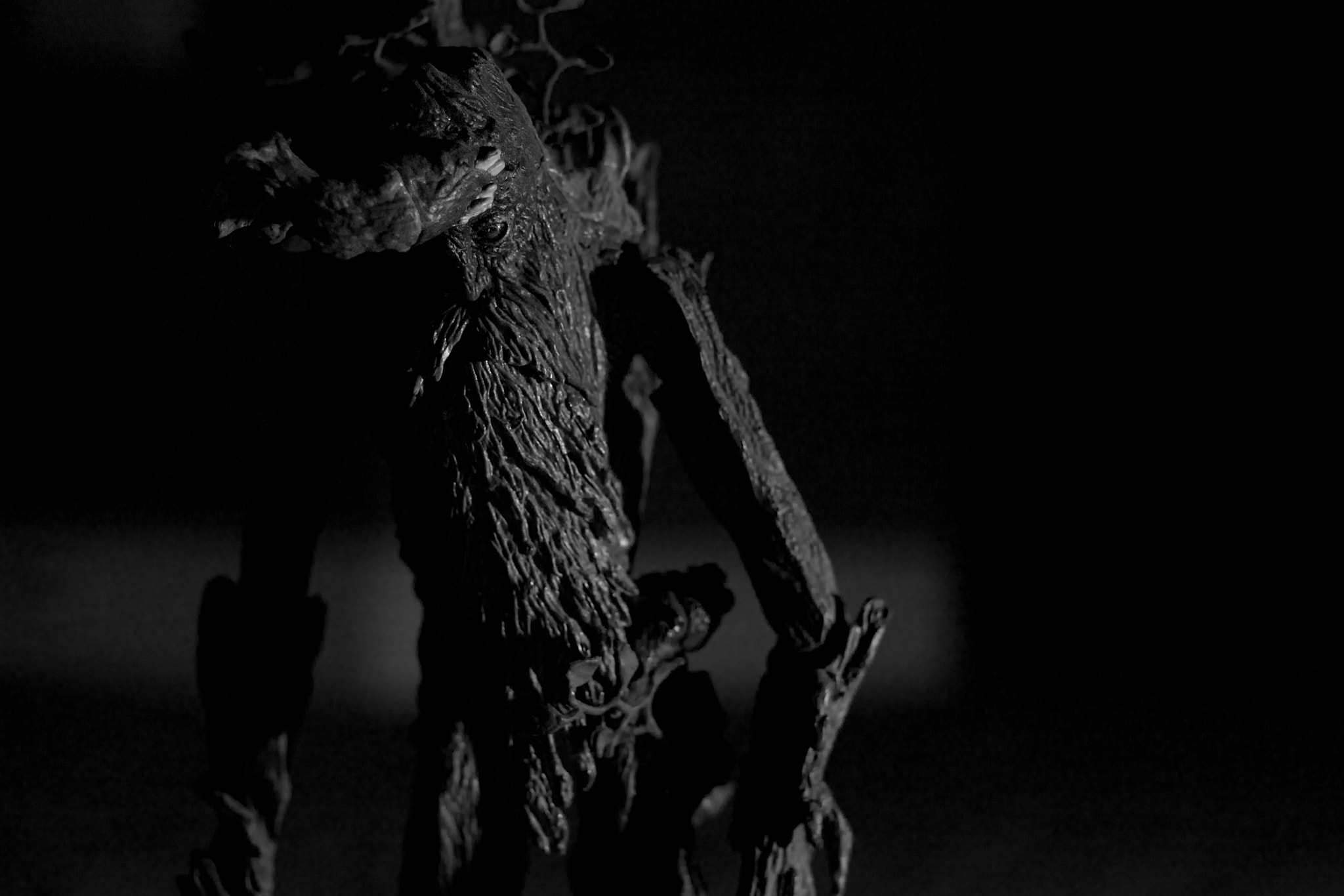 Canon EF 35-80mm f/4-5.6 sample photo. Treebeard photography