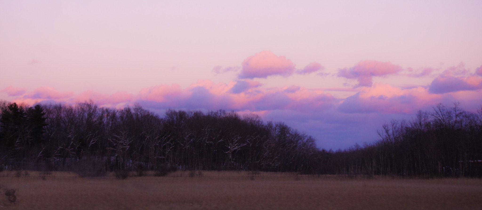 Sony Alpha NEX-3 sample photo. Dusk in the marsh photography