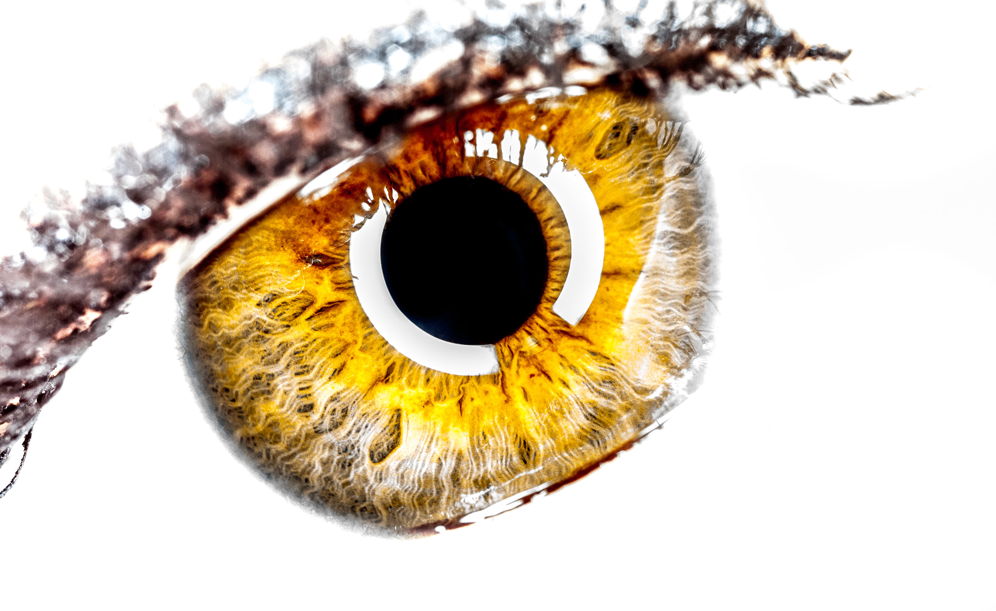 Tamron 18-270mm F3.5-6.3 Di II PZD sample photo. Human eye photography