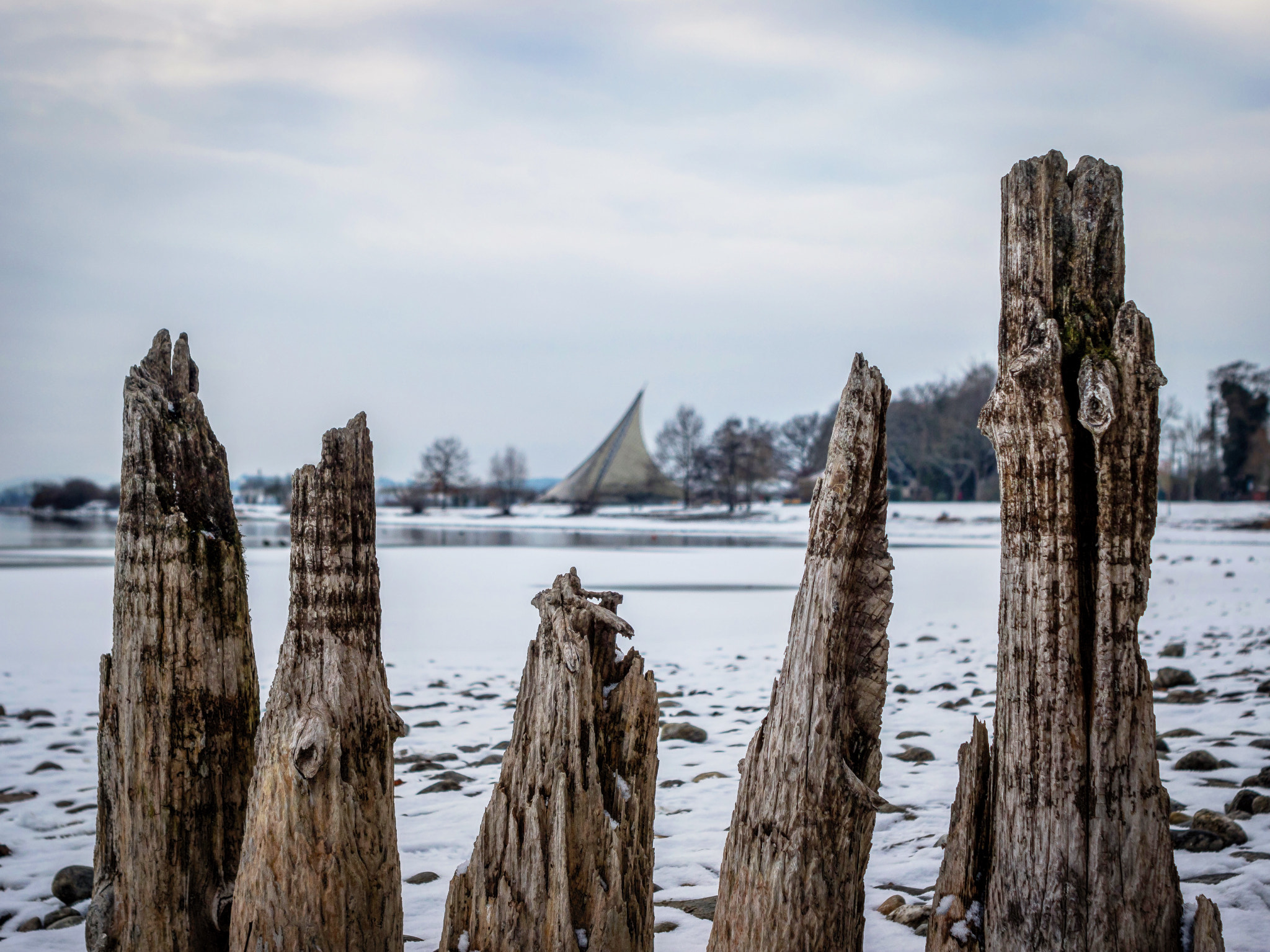 Canon EOS 760D (EOS Rebel T6s / EOS 8000D) + Canon EF 28mm F2.8 sample photo. Konzertsegel radolfzell photography