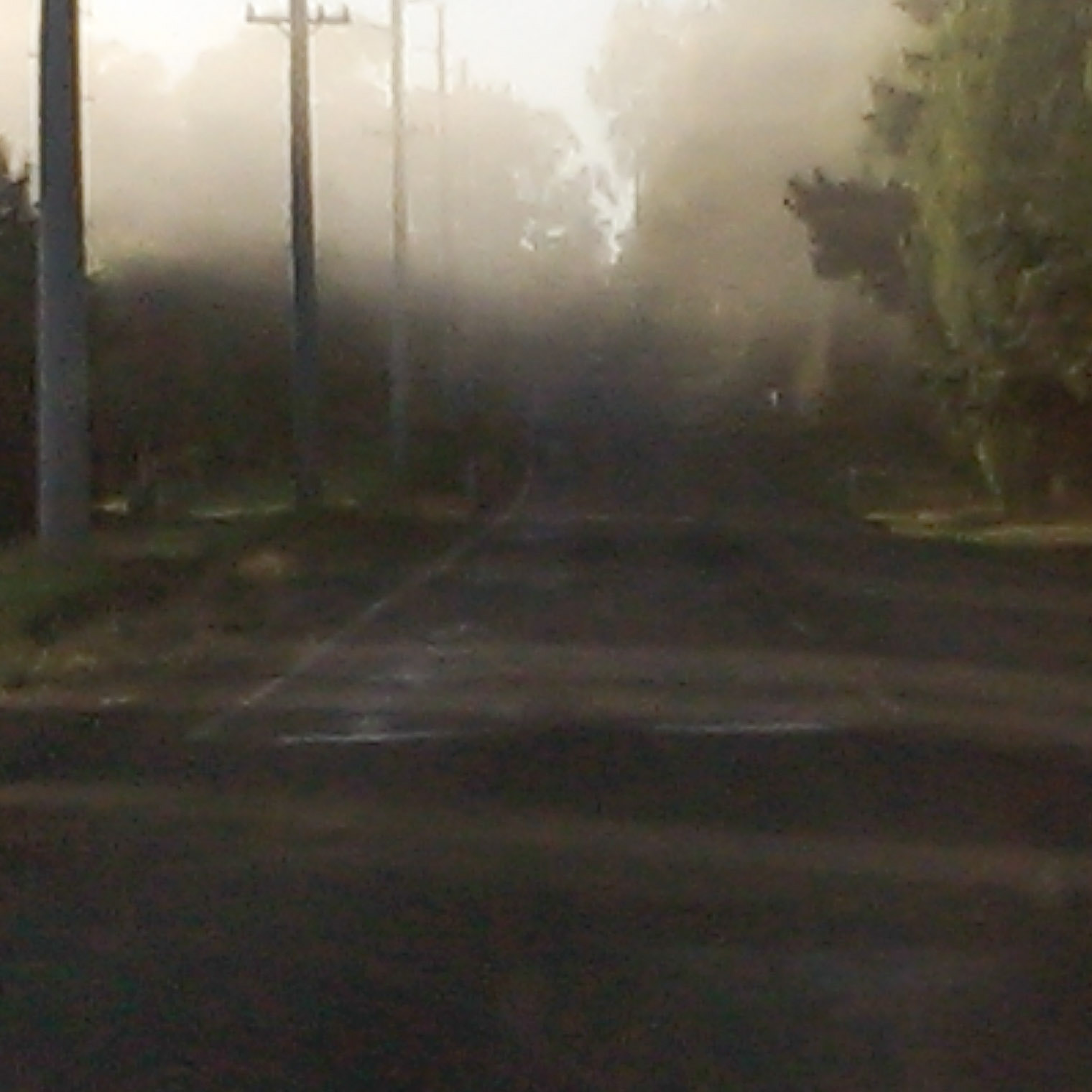 HTC ONE sample photo. Foggy road photography