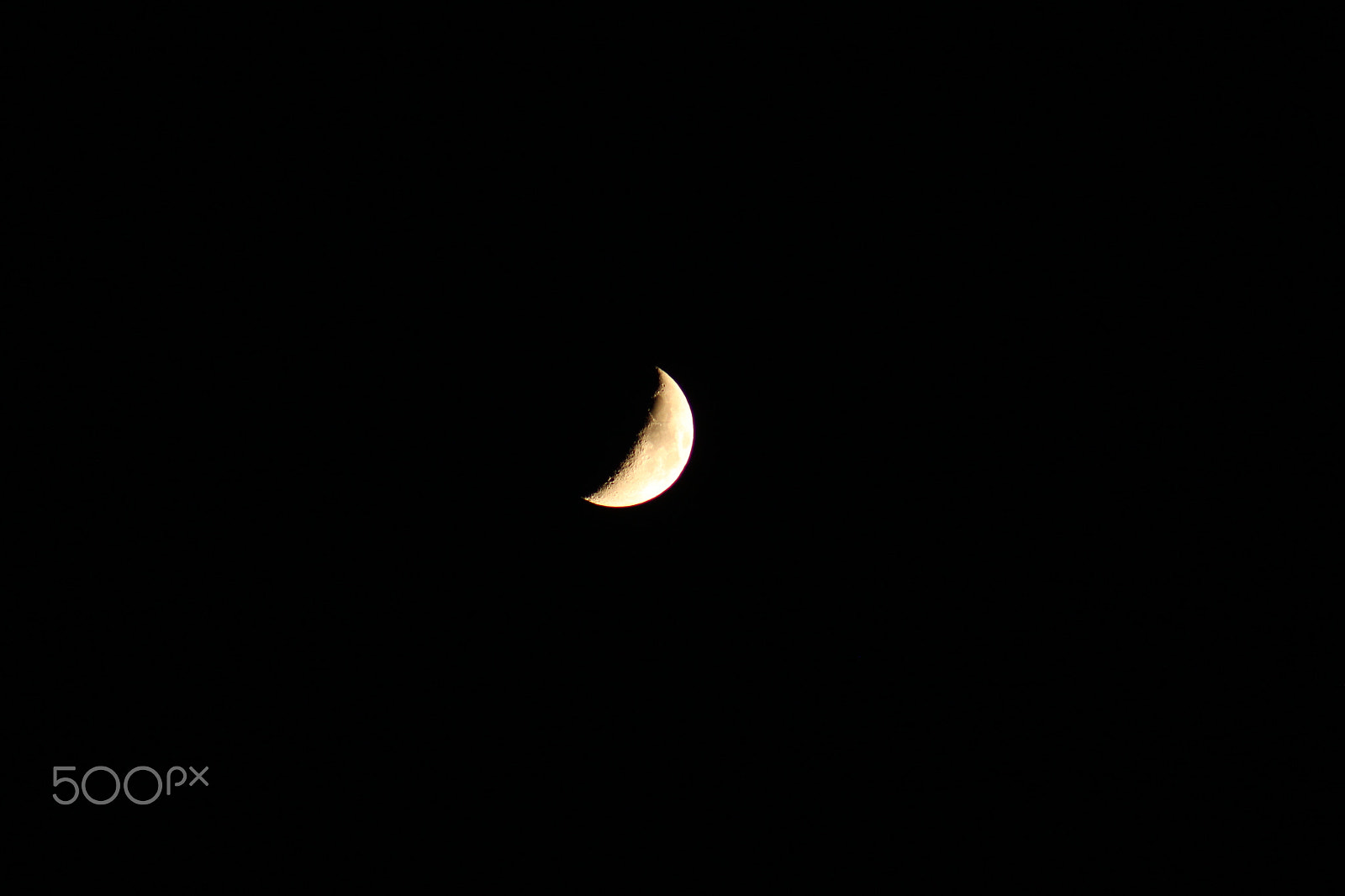 Canon EOS 500D (EOS Rebel T1i / EOS Kiss X3) + EF75-300mm f/4-5.6 sample photo. One and only photography