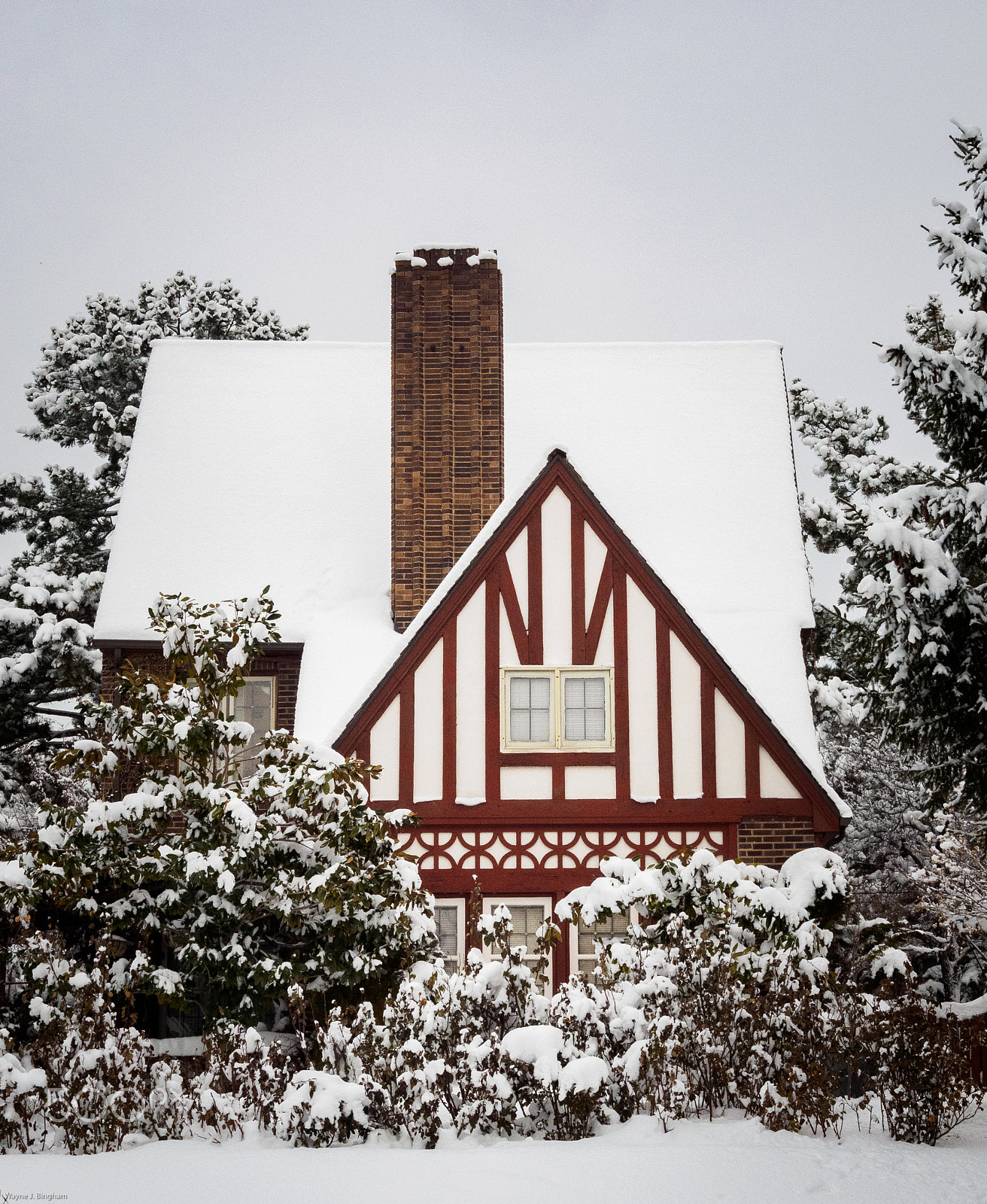 Olympus OM-D E-M1 sample photo. Snowed. in. photography