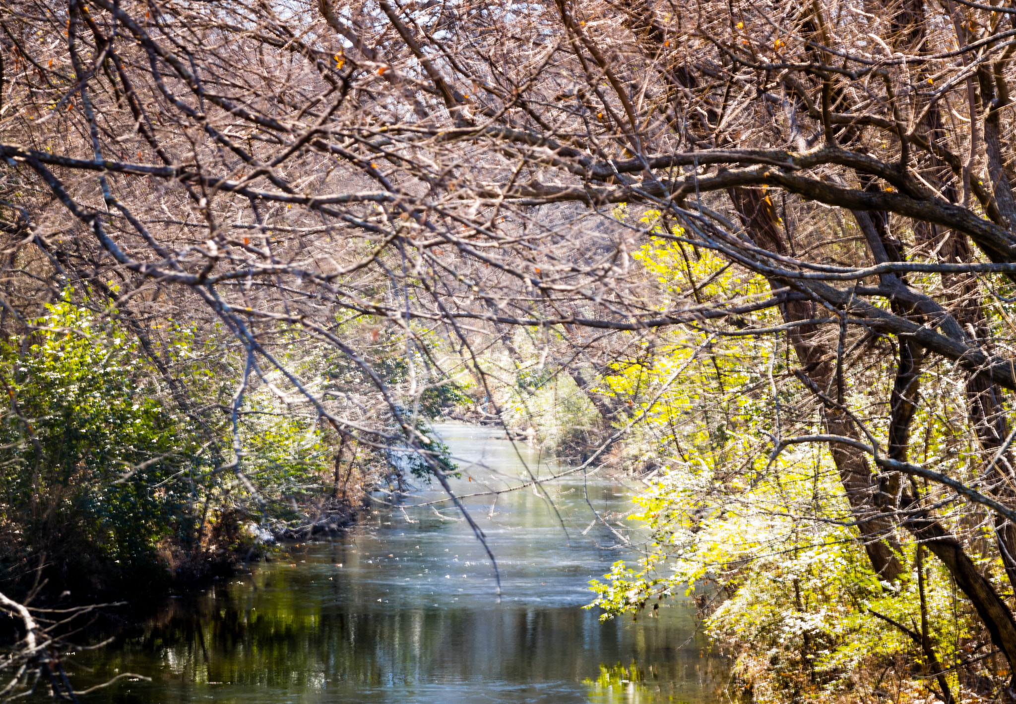 Nikon D3300 + Nikon AF-S Nikkor 85mm F1.8G sample photo. Prairie creek park  photography