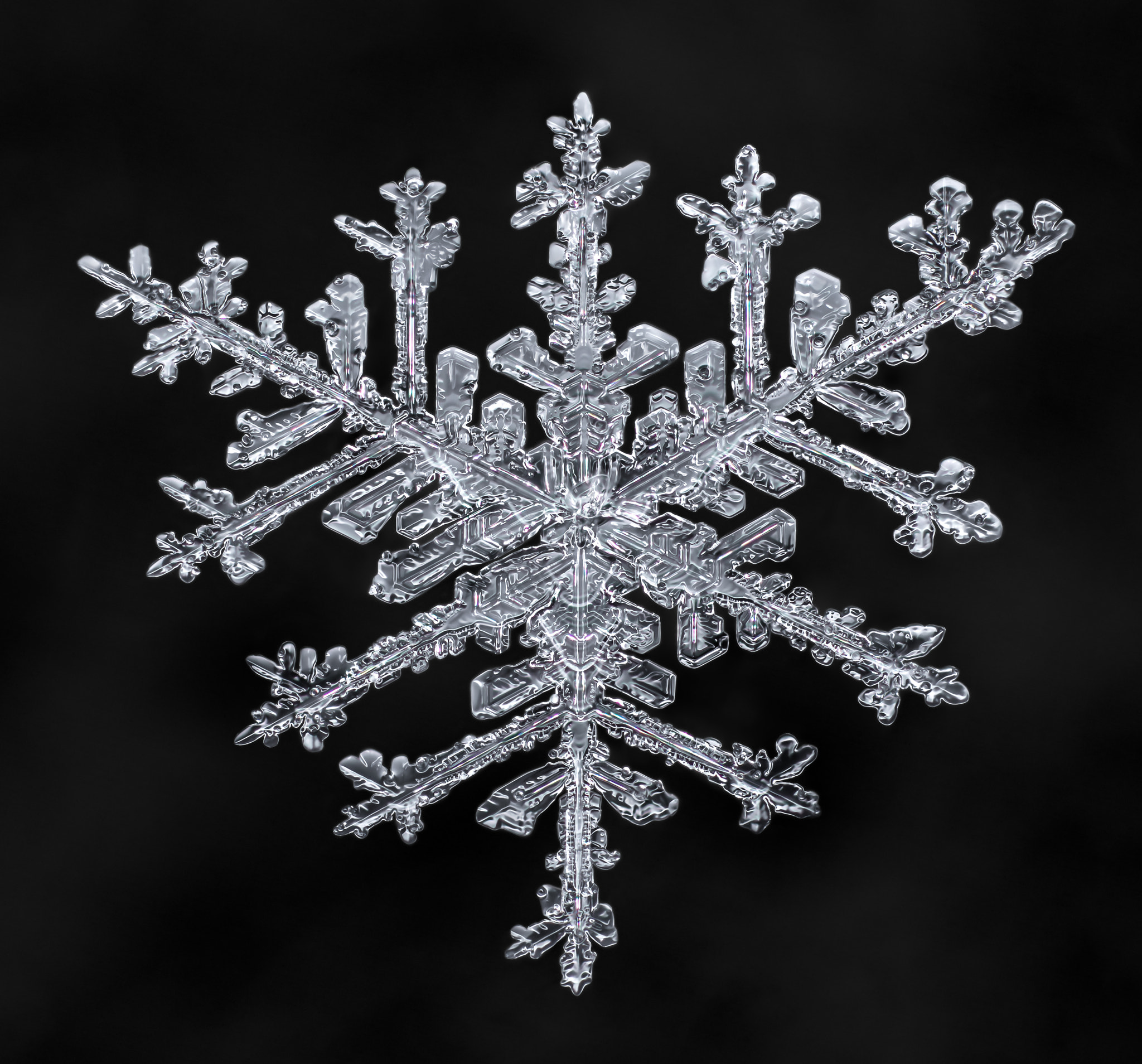 Canon MP-E 65mm F2.5 1-5x Macro Photo sample photo. Snowflake-a-day #32 photography