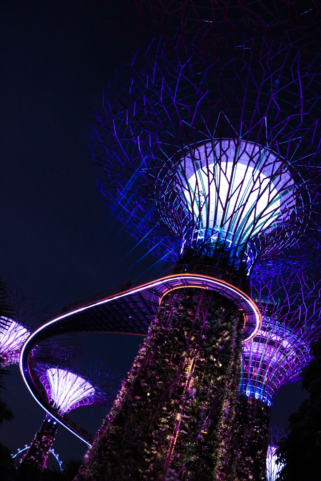 Canon EOS 760D (EOS Rebel T6s / EOS 8000D) sample photo. Supertree photography