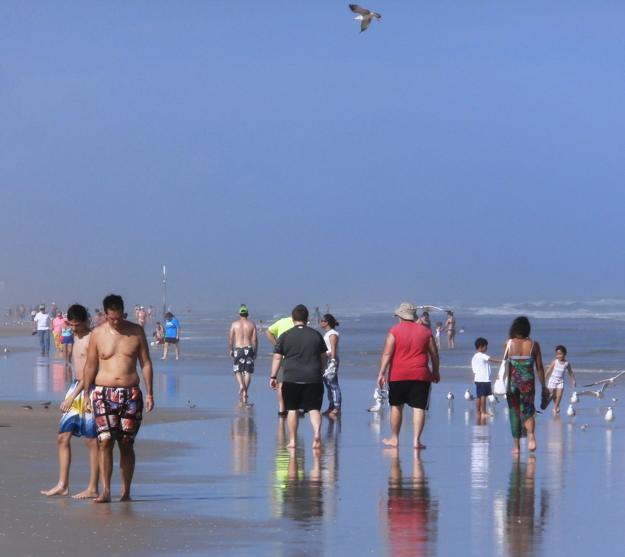 Olympus VR340,D750 sample photo. Strangers at the beach - fl photography